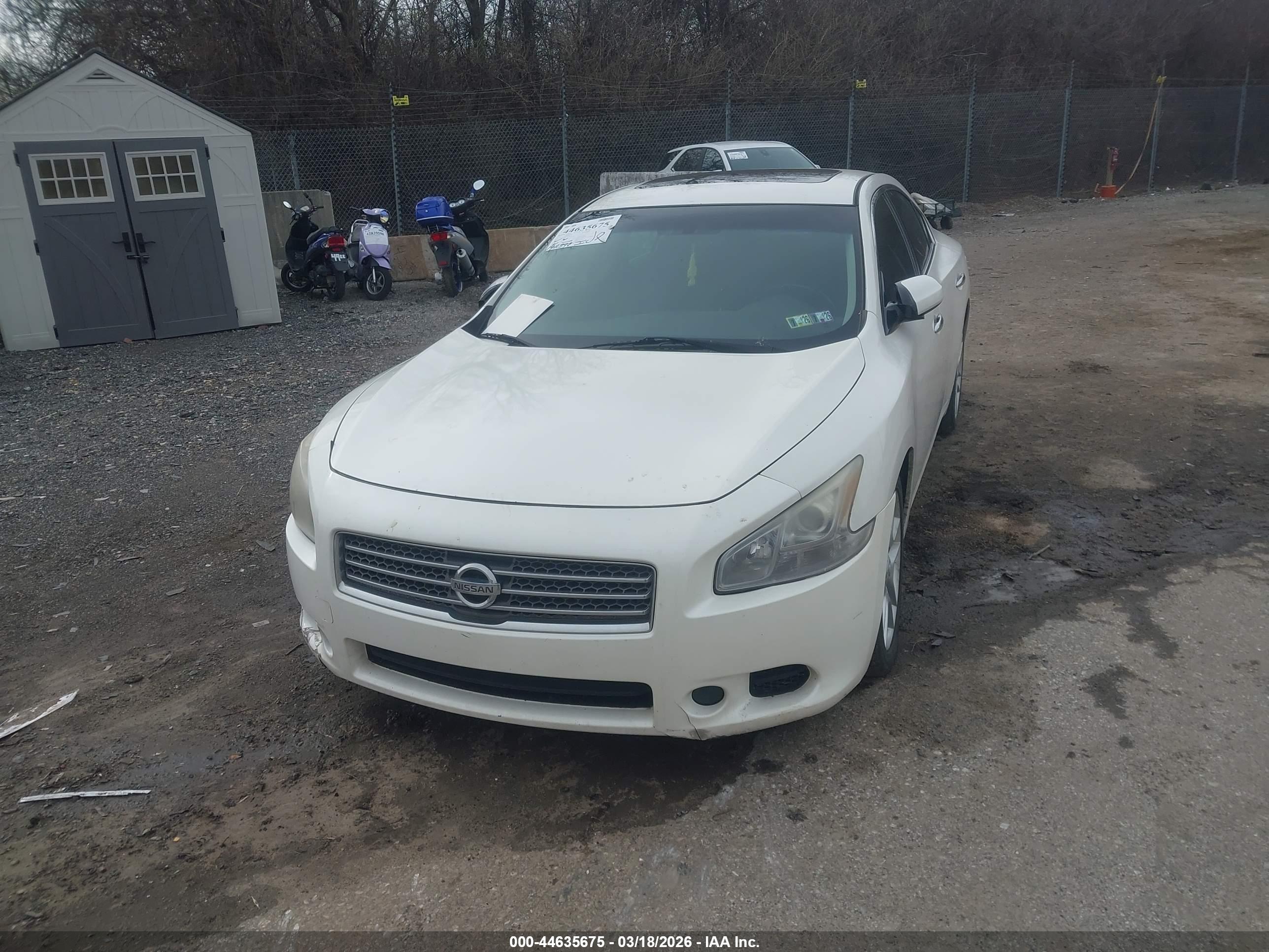 NISSAN MAXIMA image 6