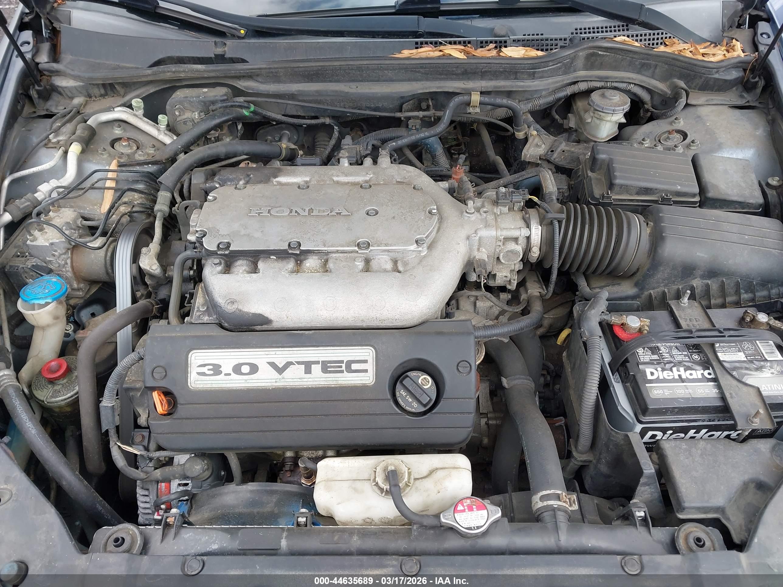 HONDA ACCORD image 10