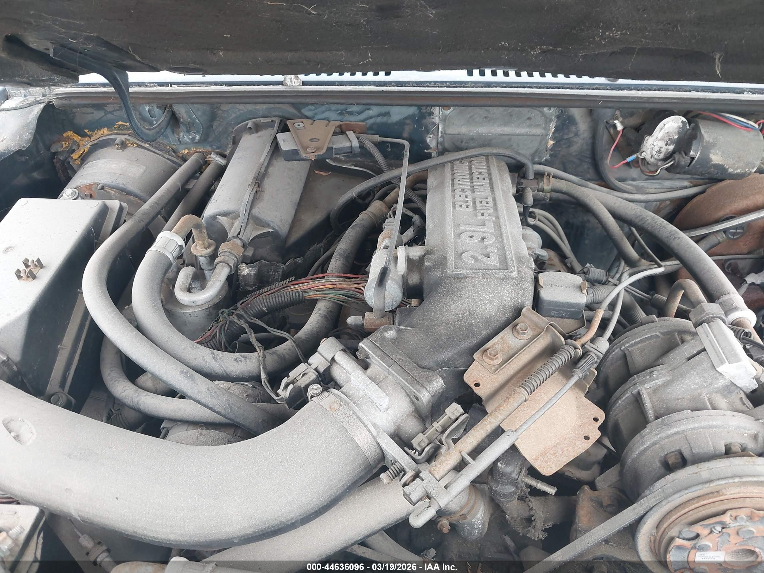 FORD BRONCO image 10