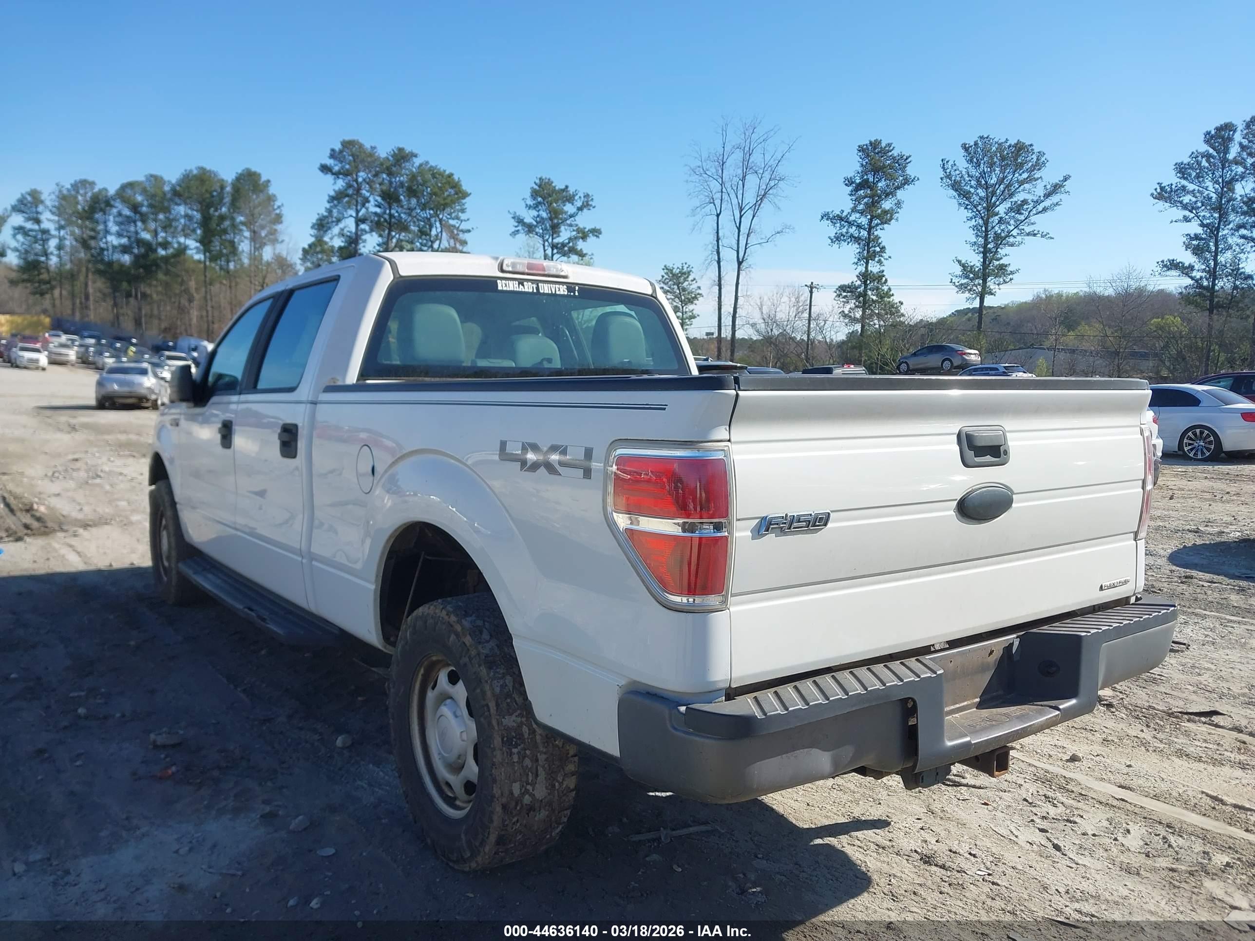 FORD F-150 image 3