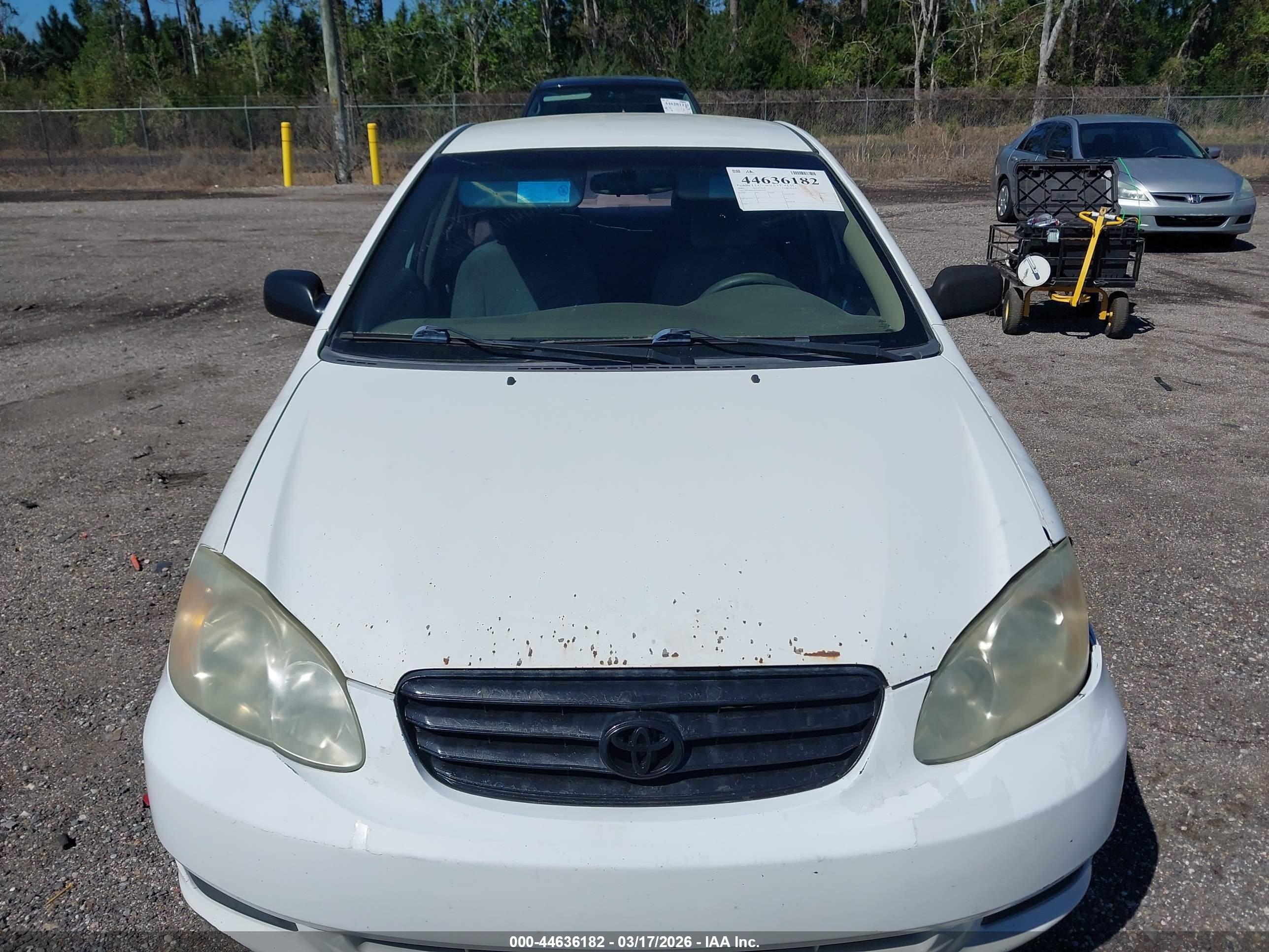 TOYOTA COROLLA image 6