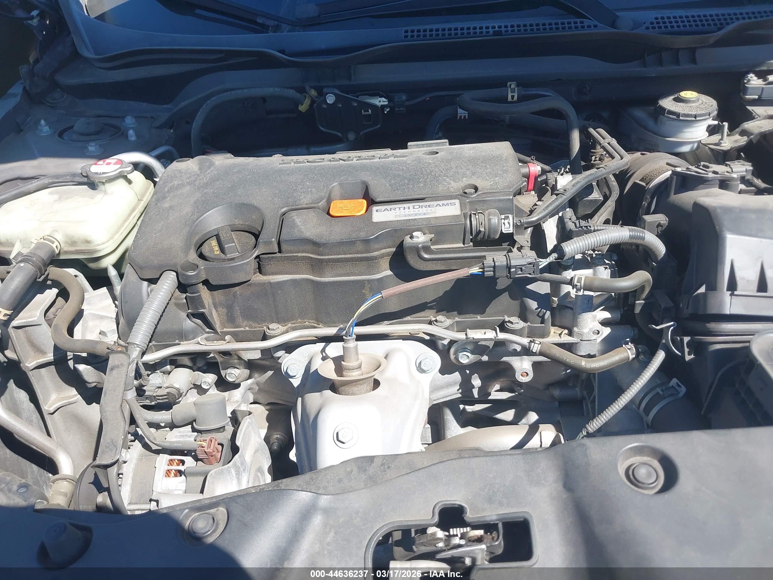 HONDA CIVIC image 10