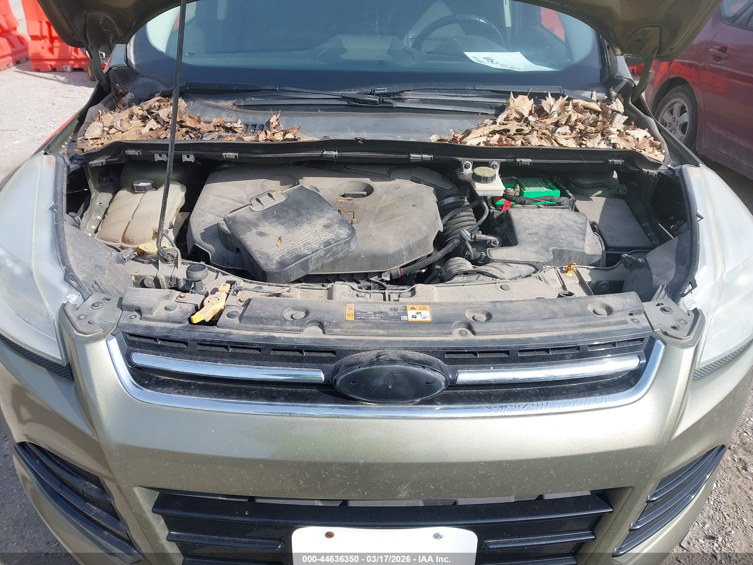 FORD ESCAPE image 10
