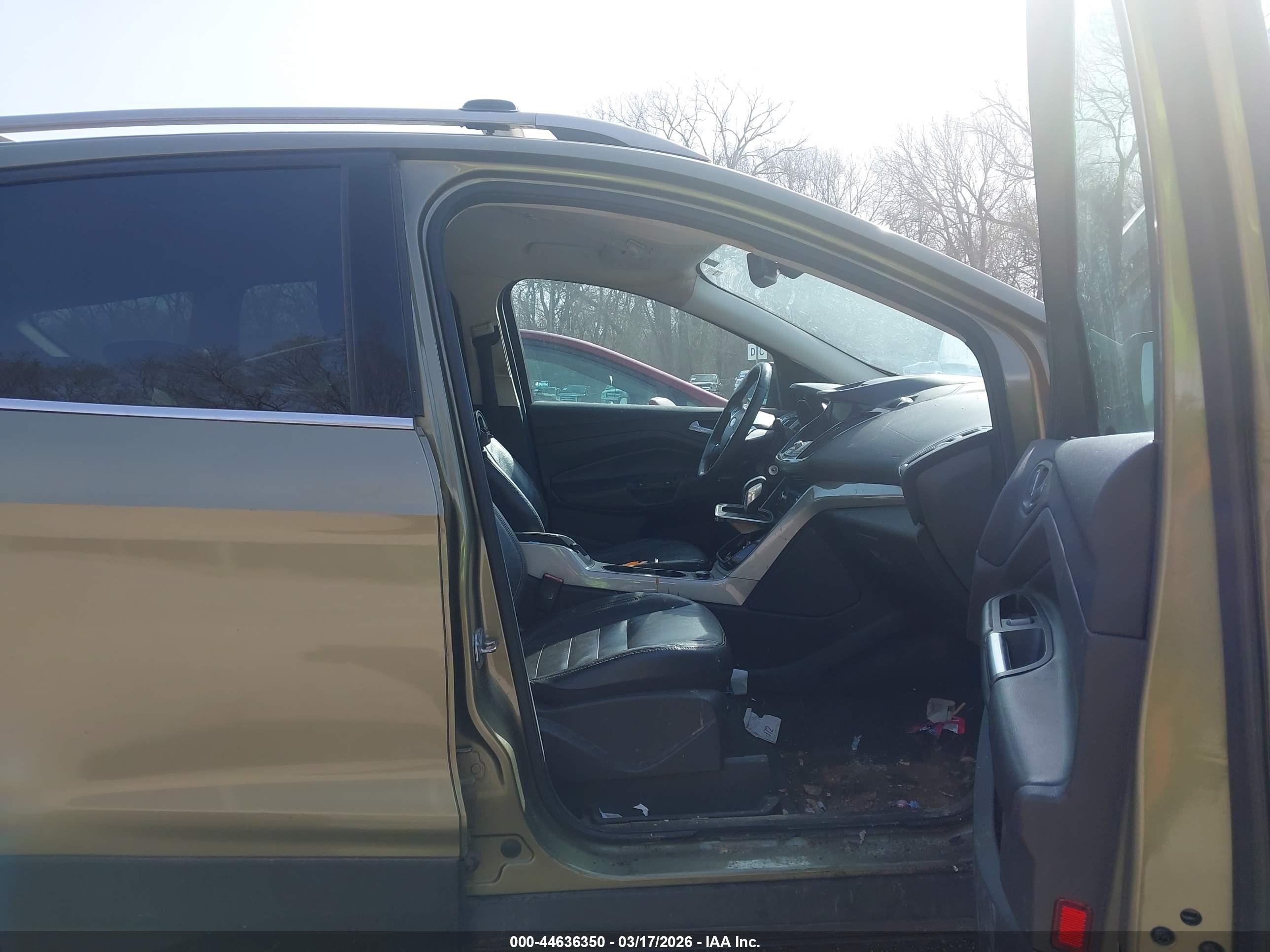 FORD ESCAPE image 5