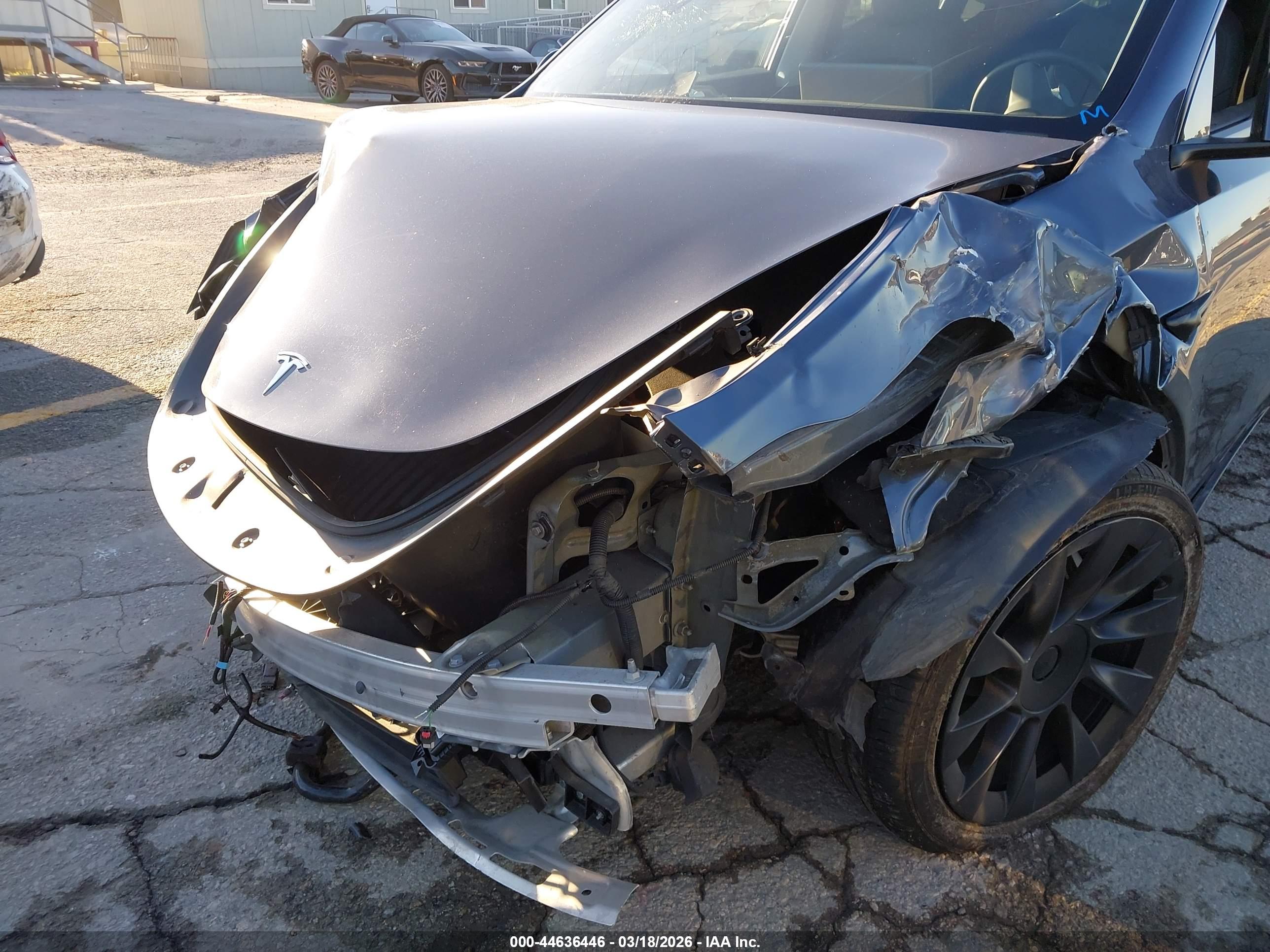 TESLA MODEL image 6