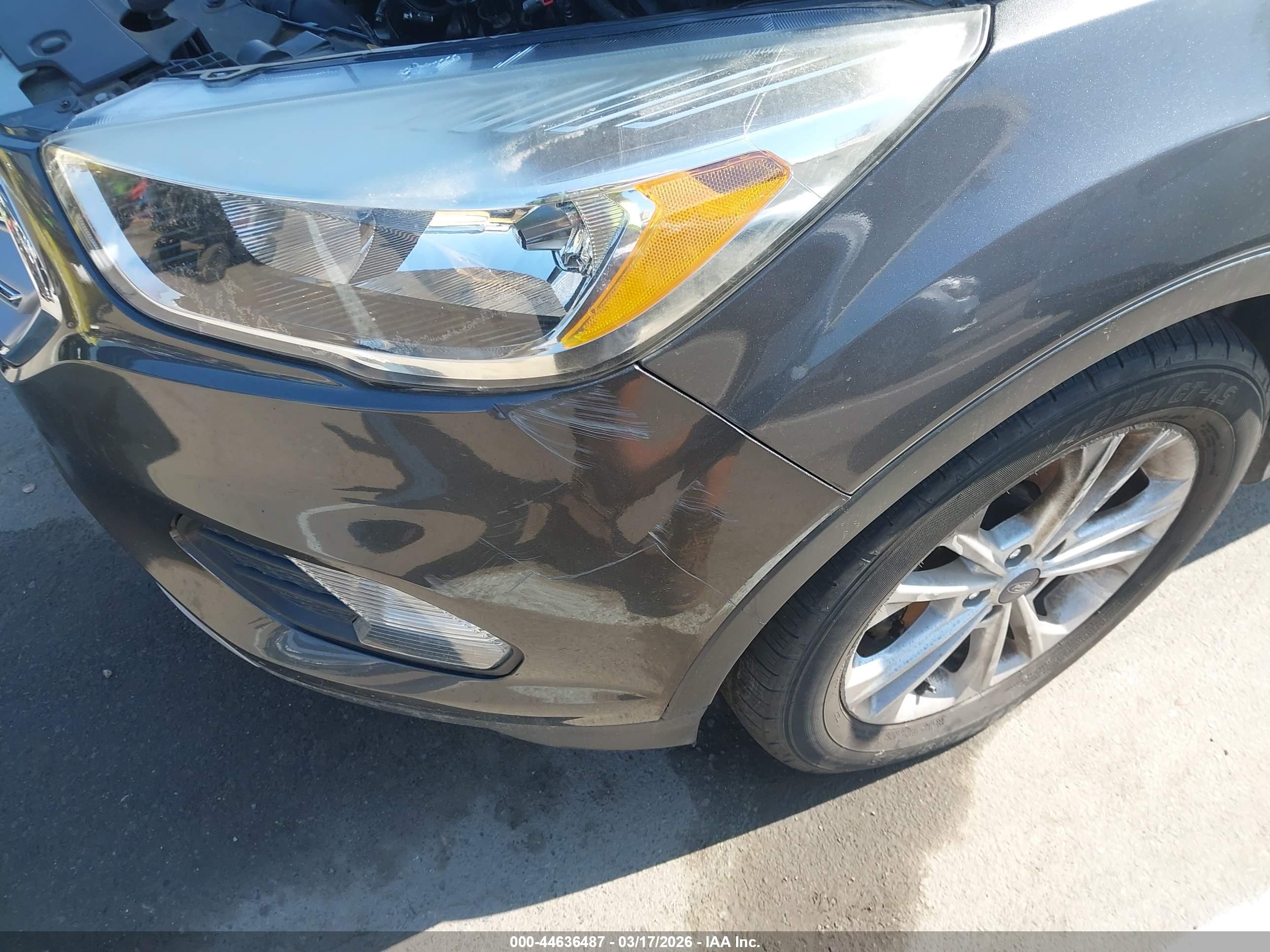 FORD ESCAPE image 6