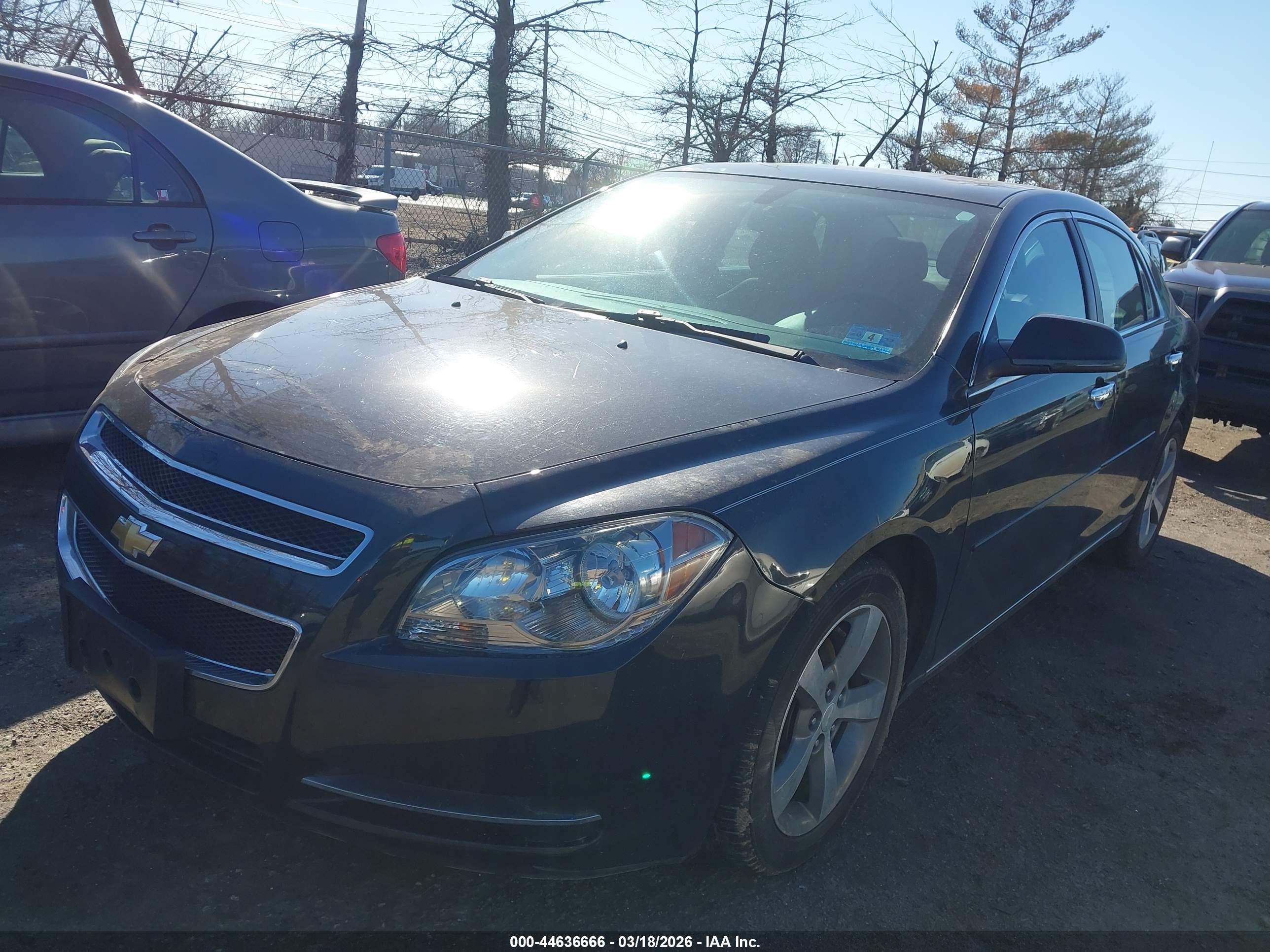 CHEVROLET MALIBU image 6
