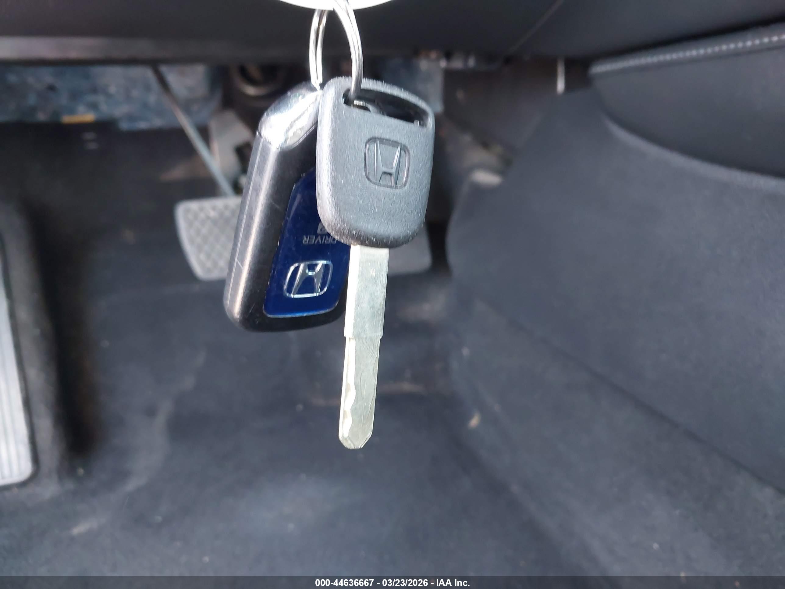 HONDA ACCORD image 11