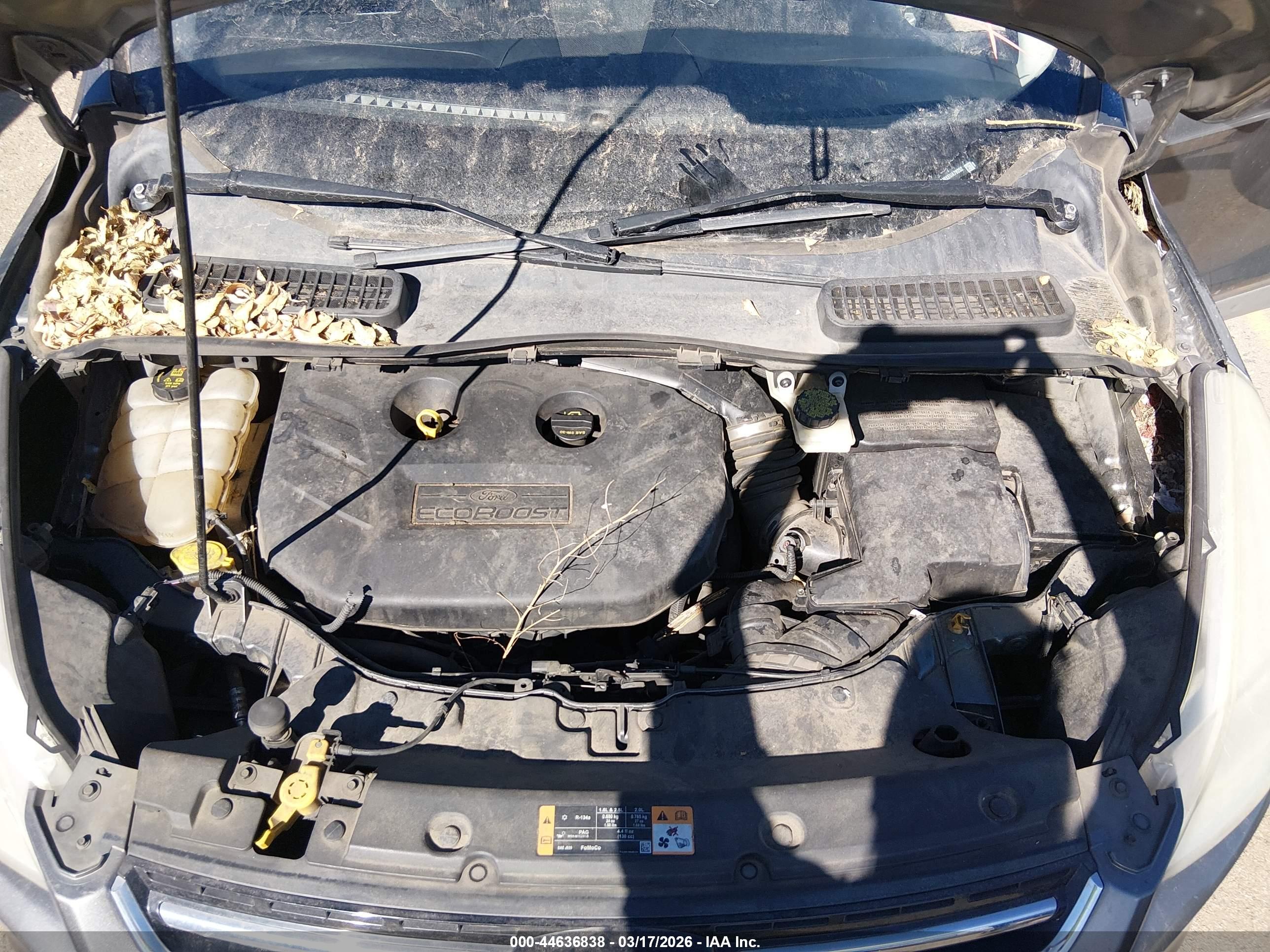 FORD ESCAPE image 10