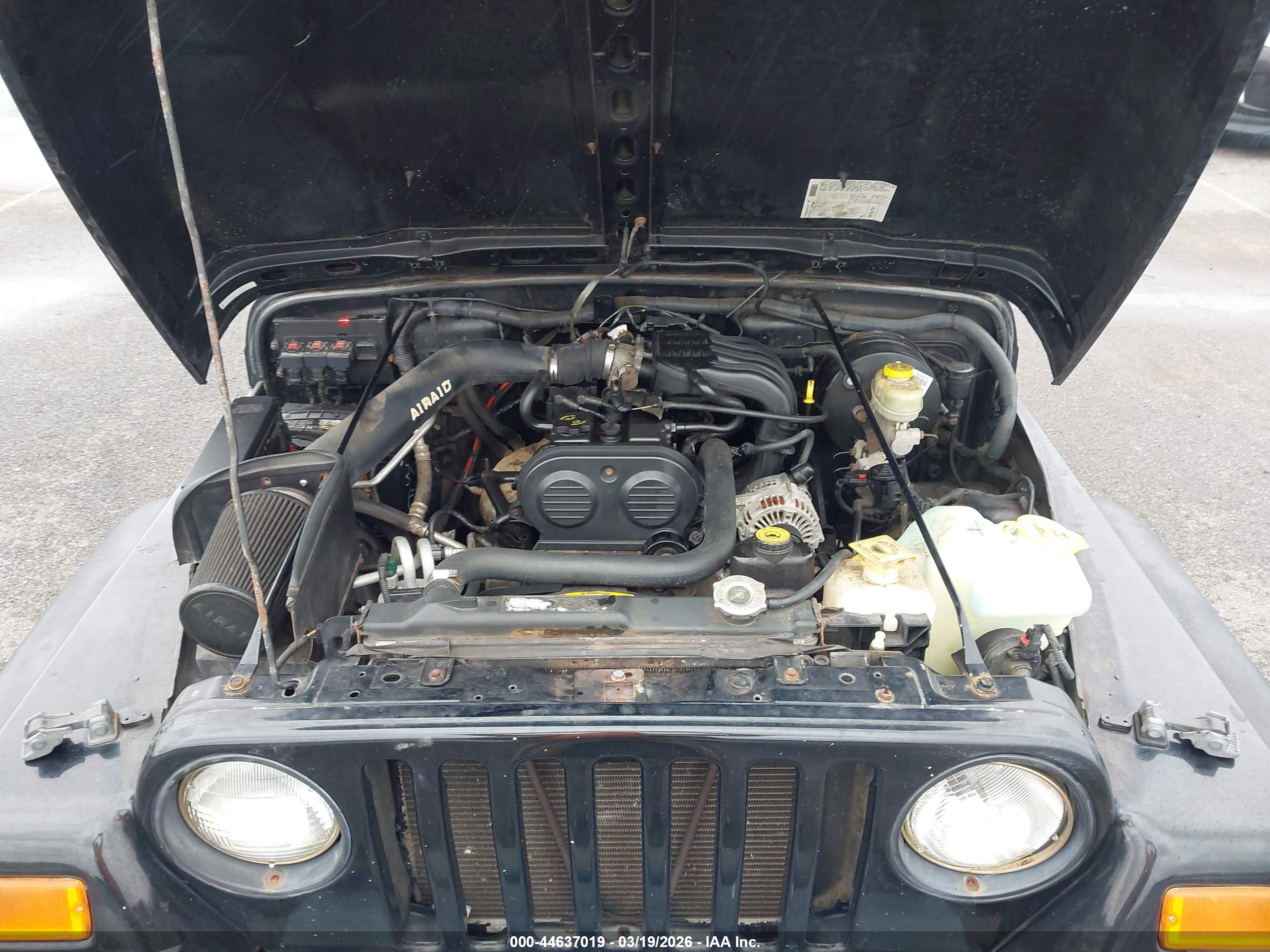 JEEP WRANGLER image 10
