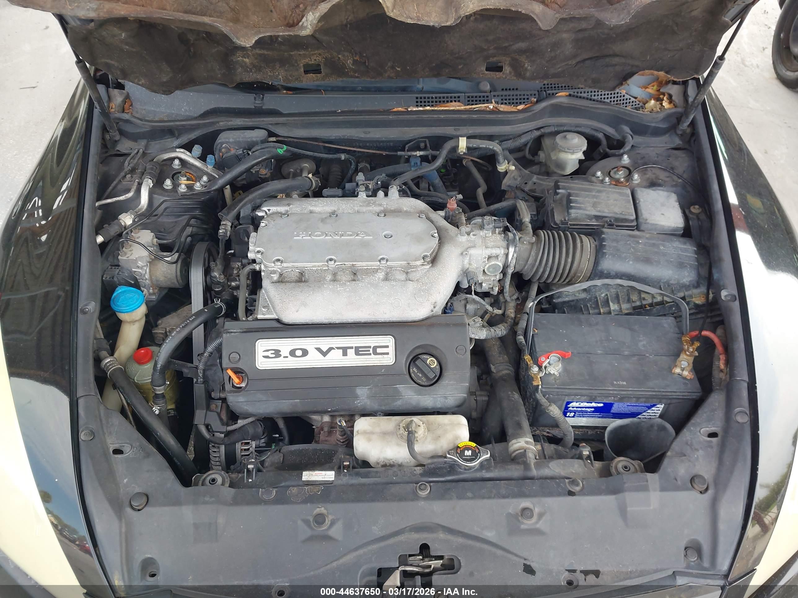 HONDA ACCORD image 10