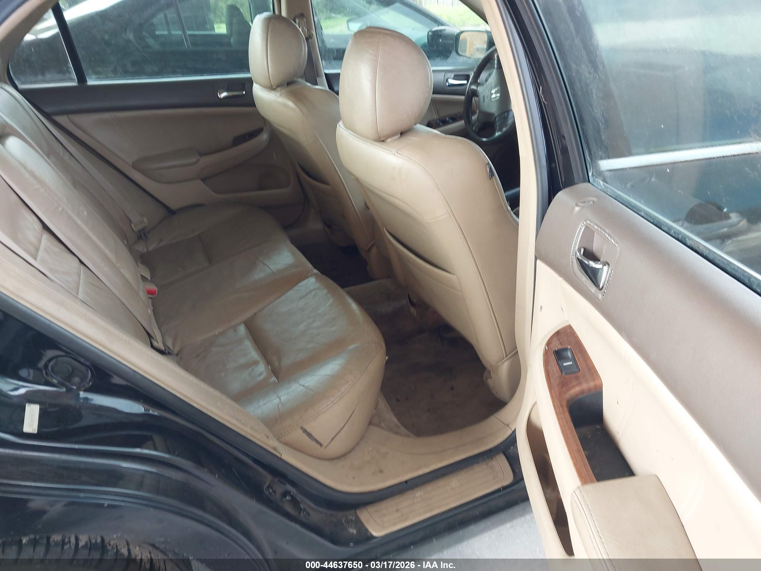 HONDA ACCORD image 8
