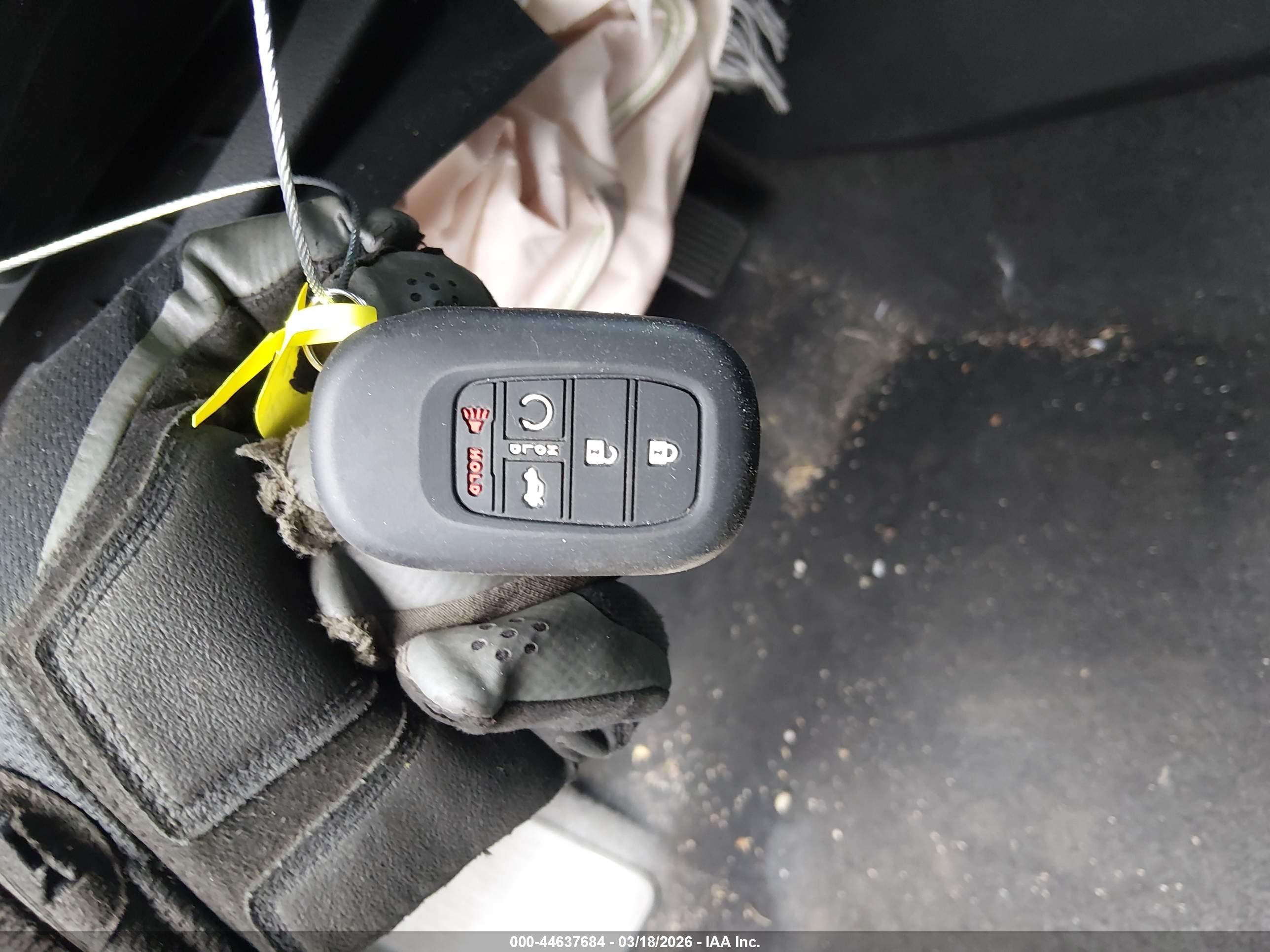 HONDA ACCORD image 11