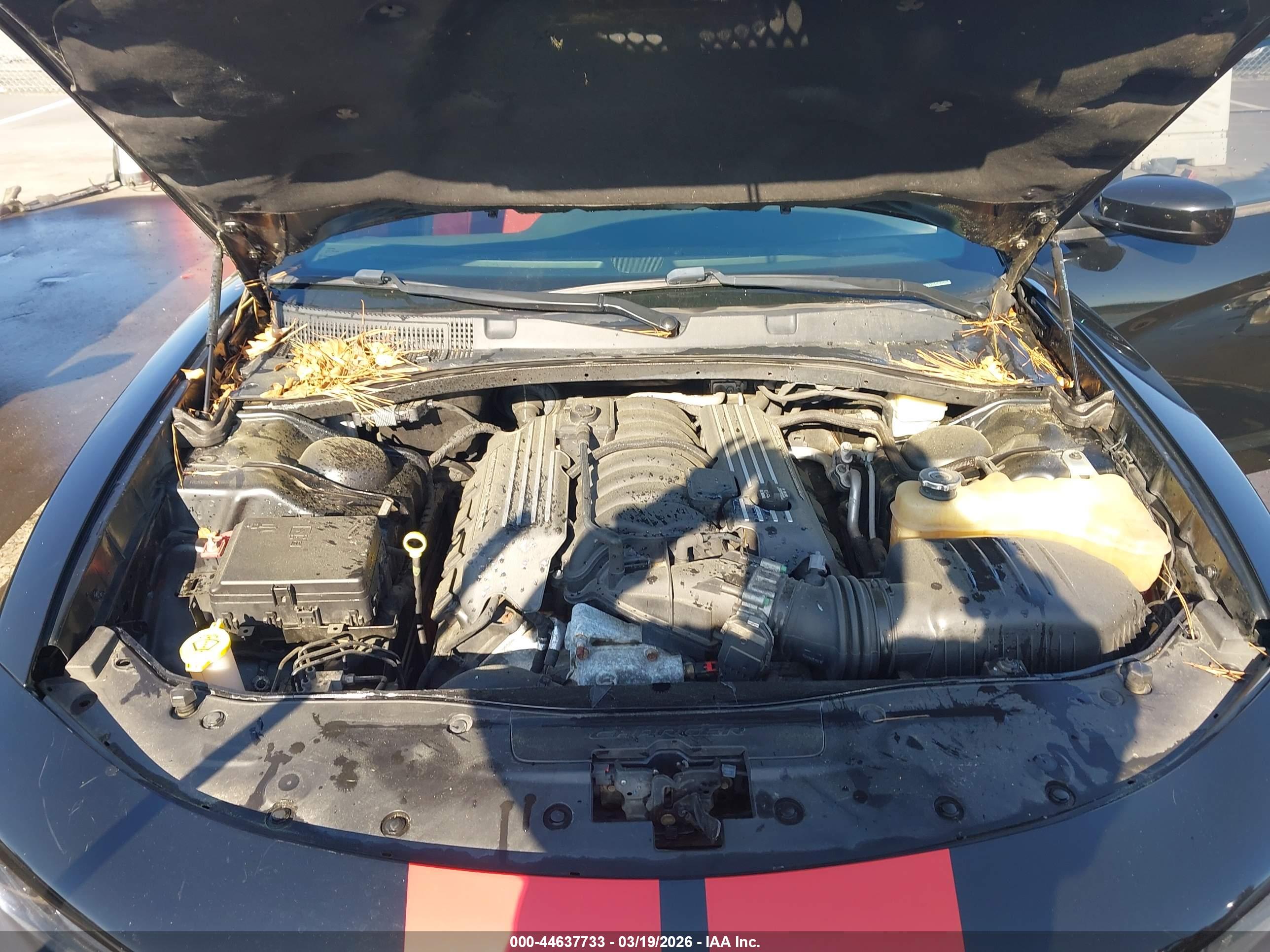 DODGE CHARGER image 10