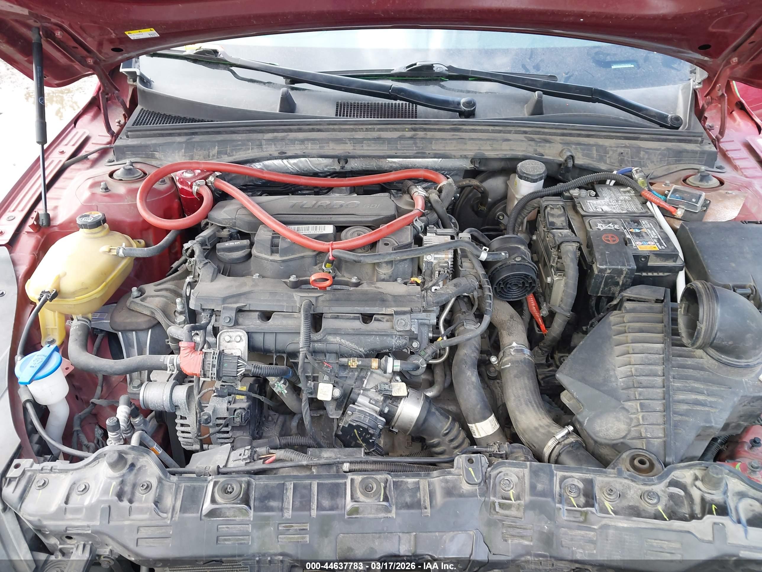 KIA K5 image 10