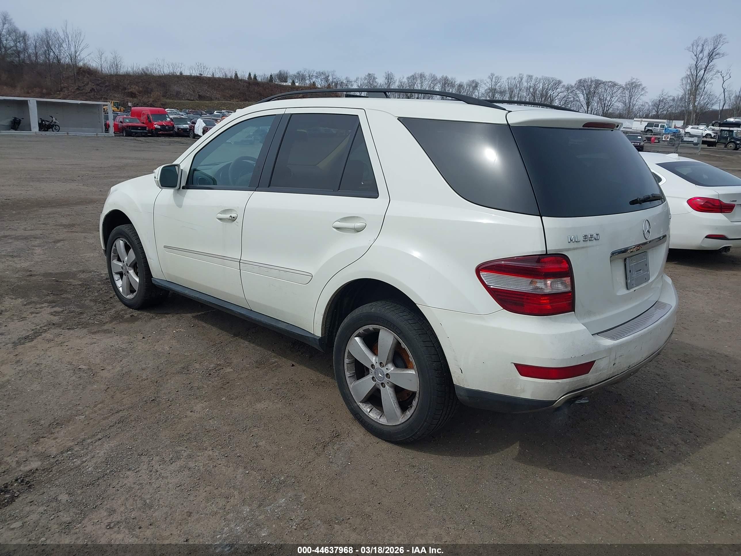 MERCEDES-BENZ ML image 3