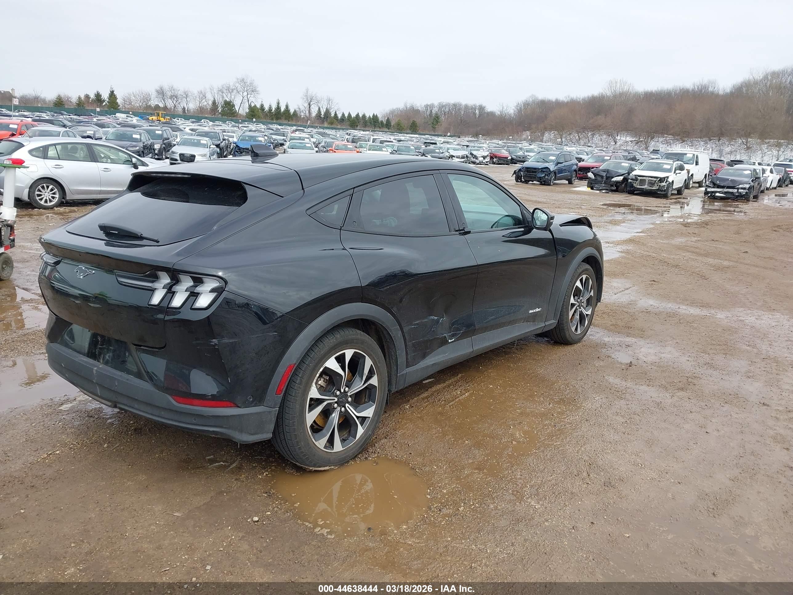 FORD MUSTANG image 4
