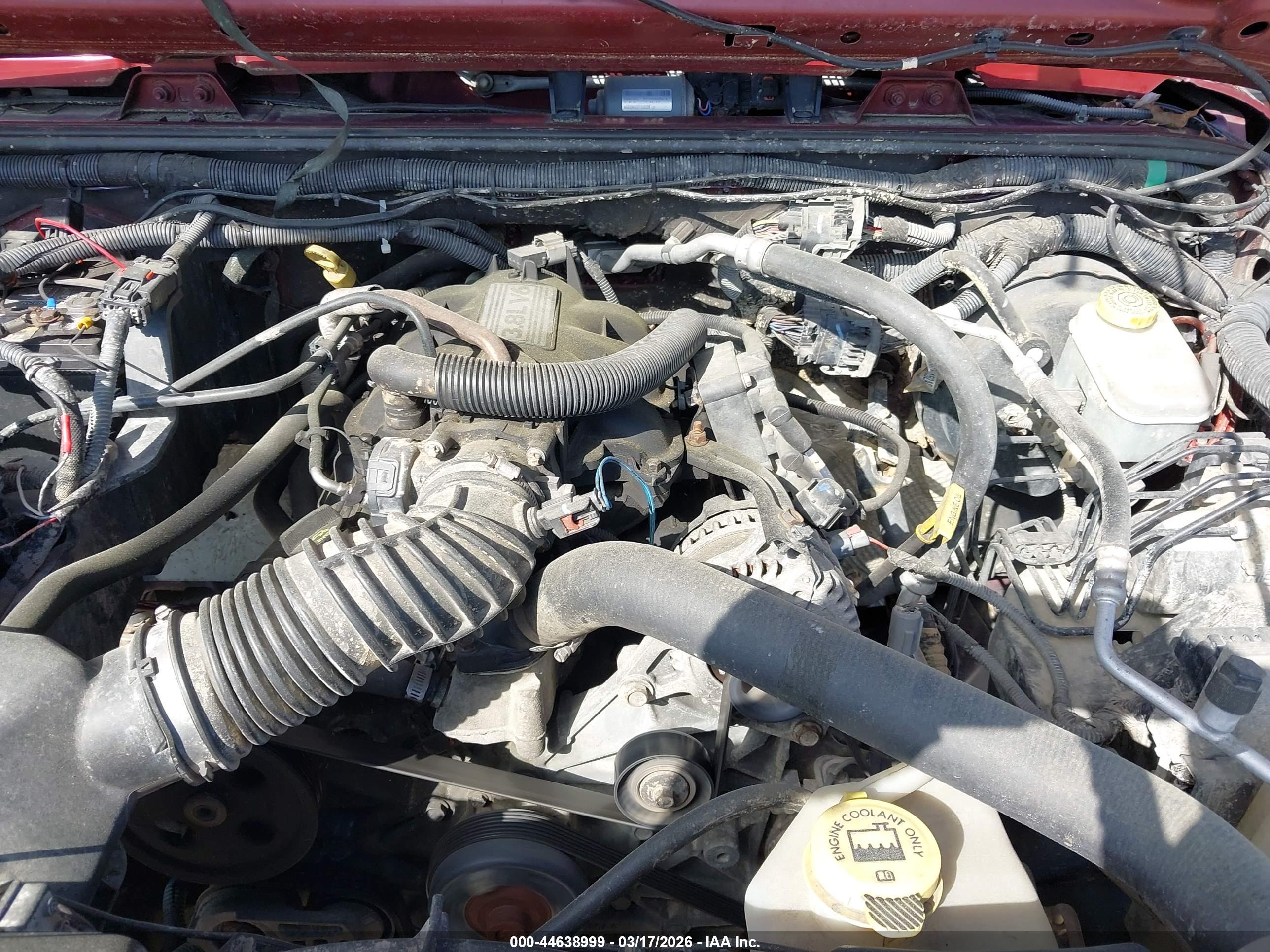 JEEP WRANGLER image 10