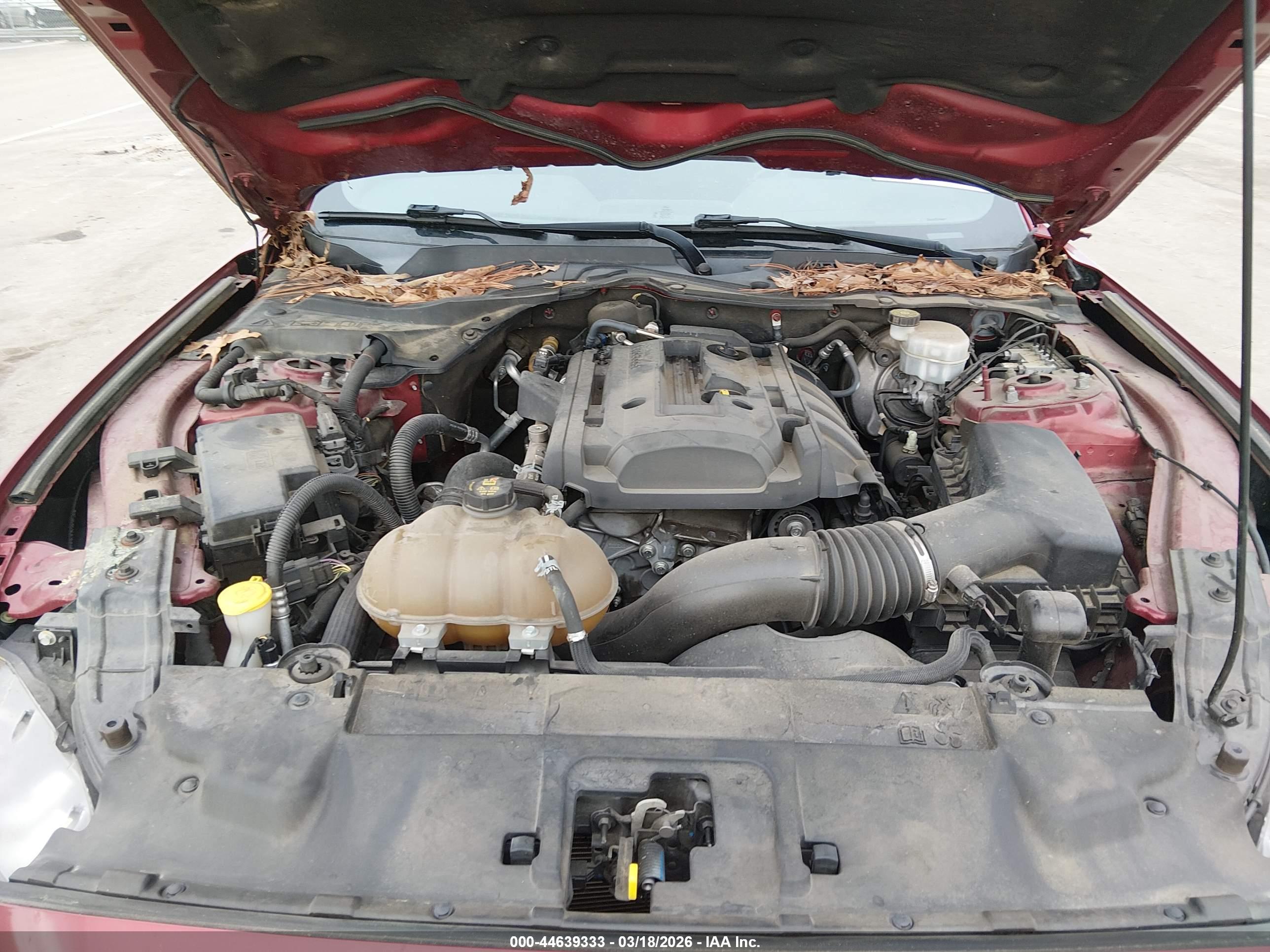 FORD MUSTANG image 10