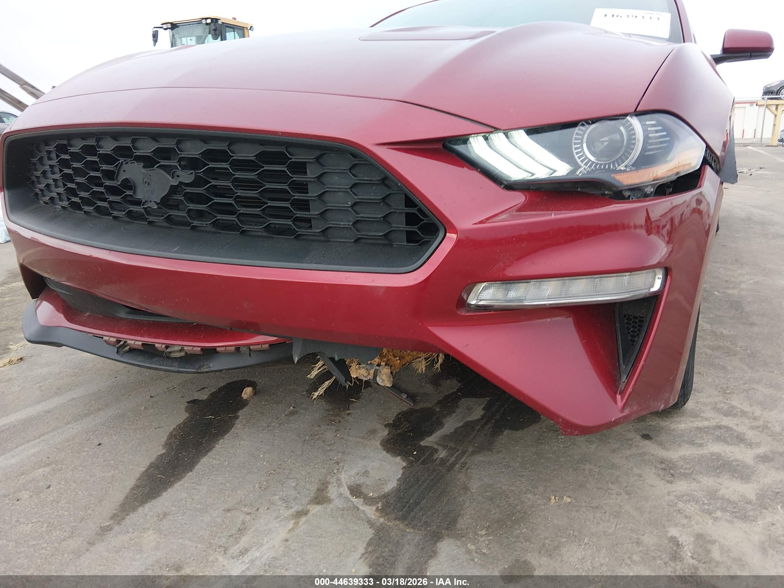 FORD MUSTANG image 6