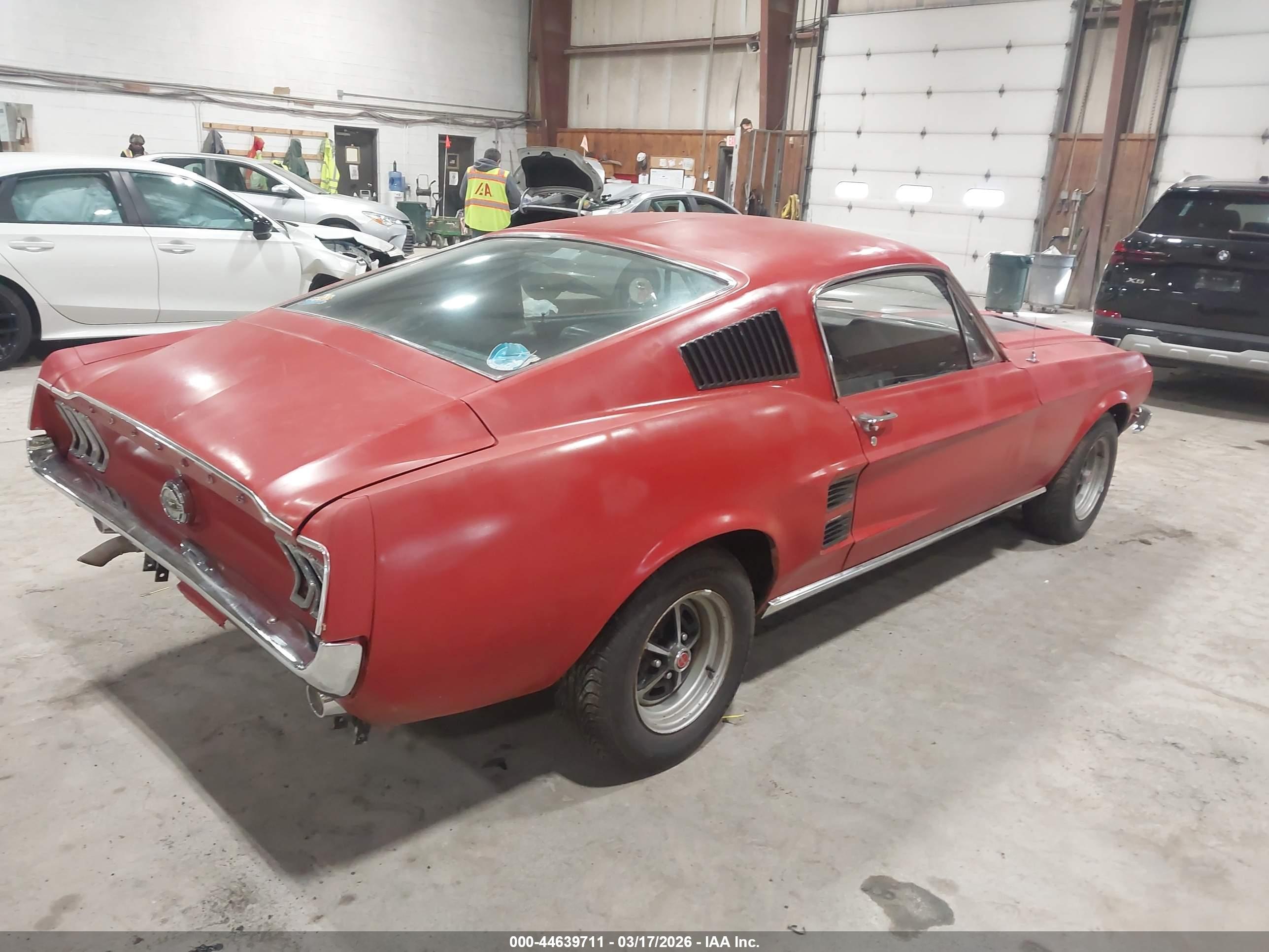 FORD MUSTANG image 4
