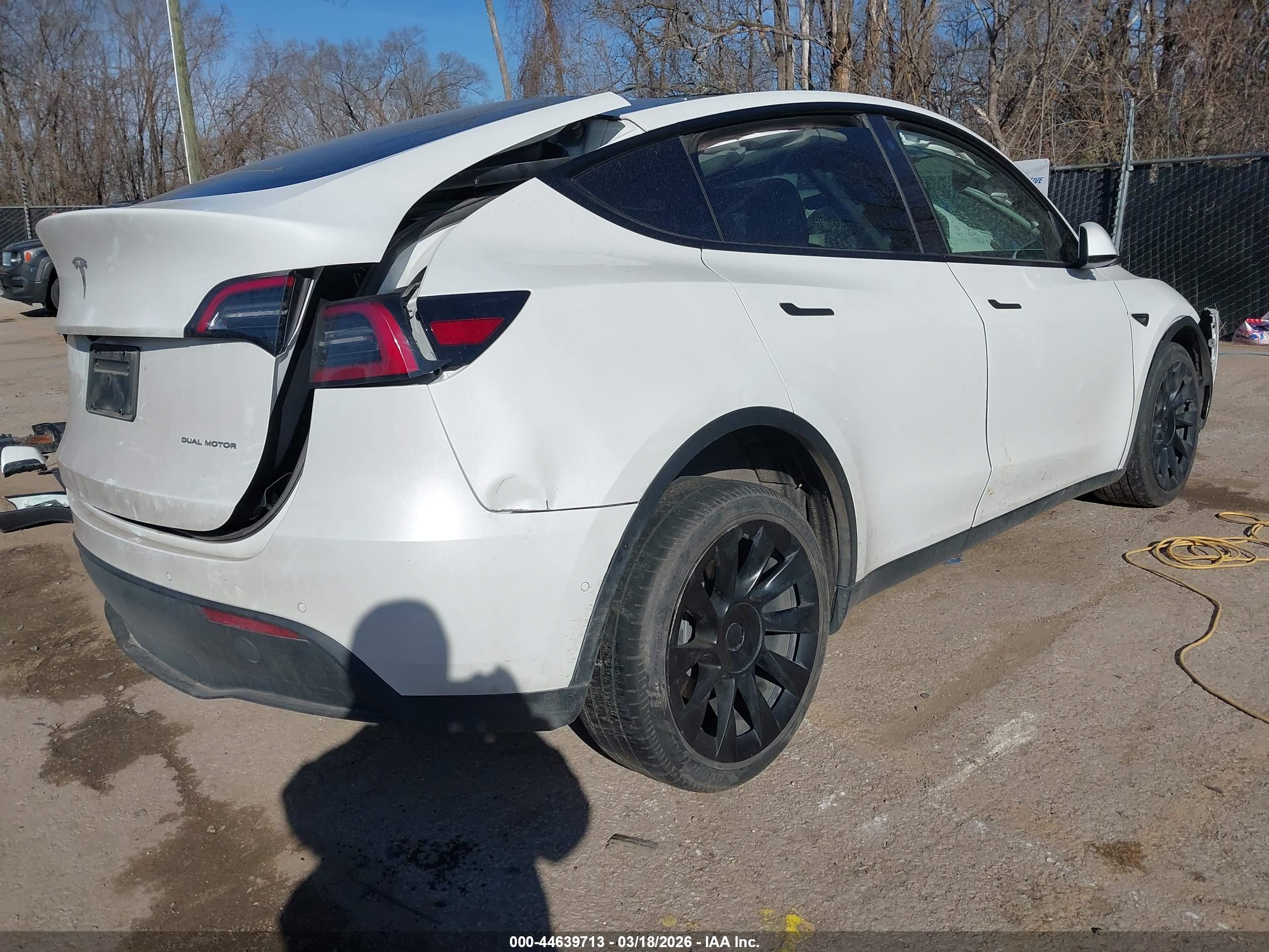 TESLA MODEL image 4