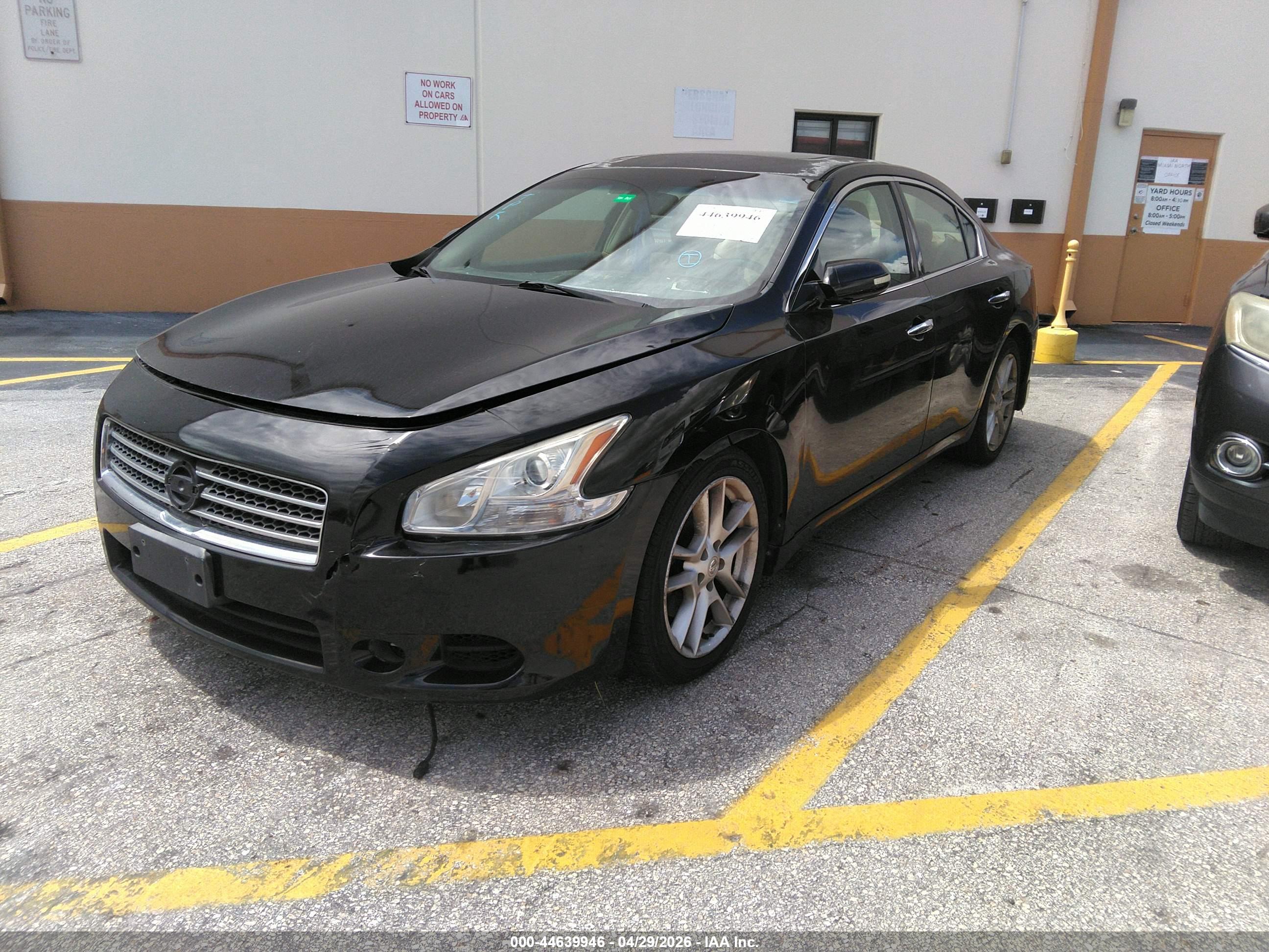 NISSAN MAXIMA image 2