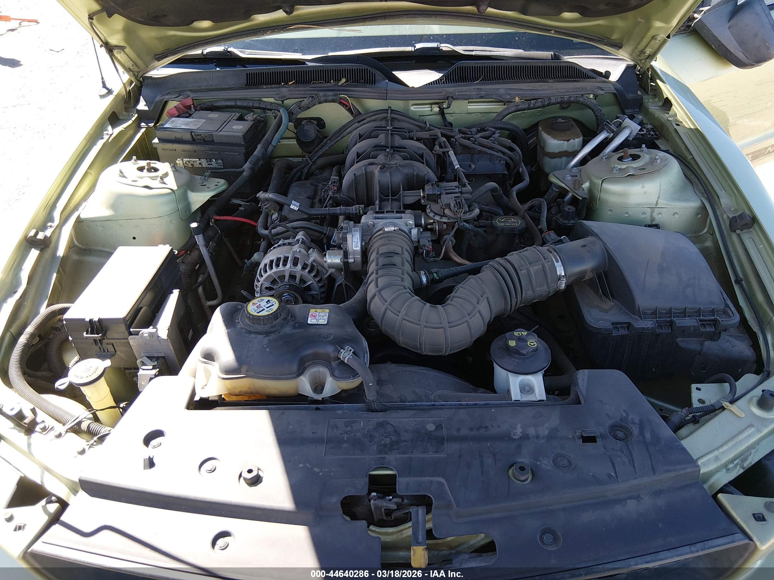 FORD MUSTANG image 10