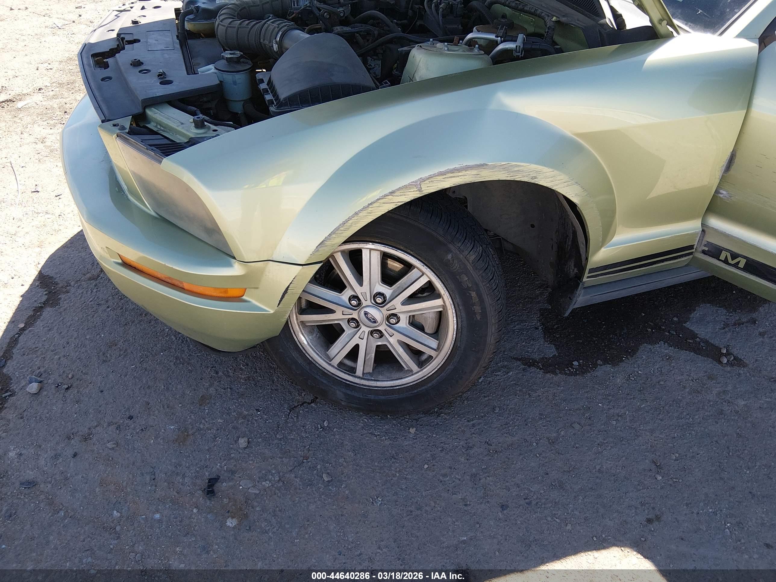 FORD MUSTANG image 6