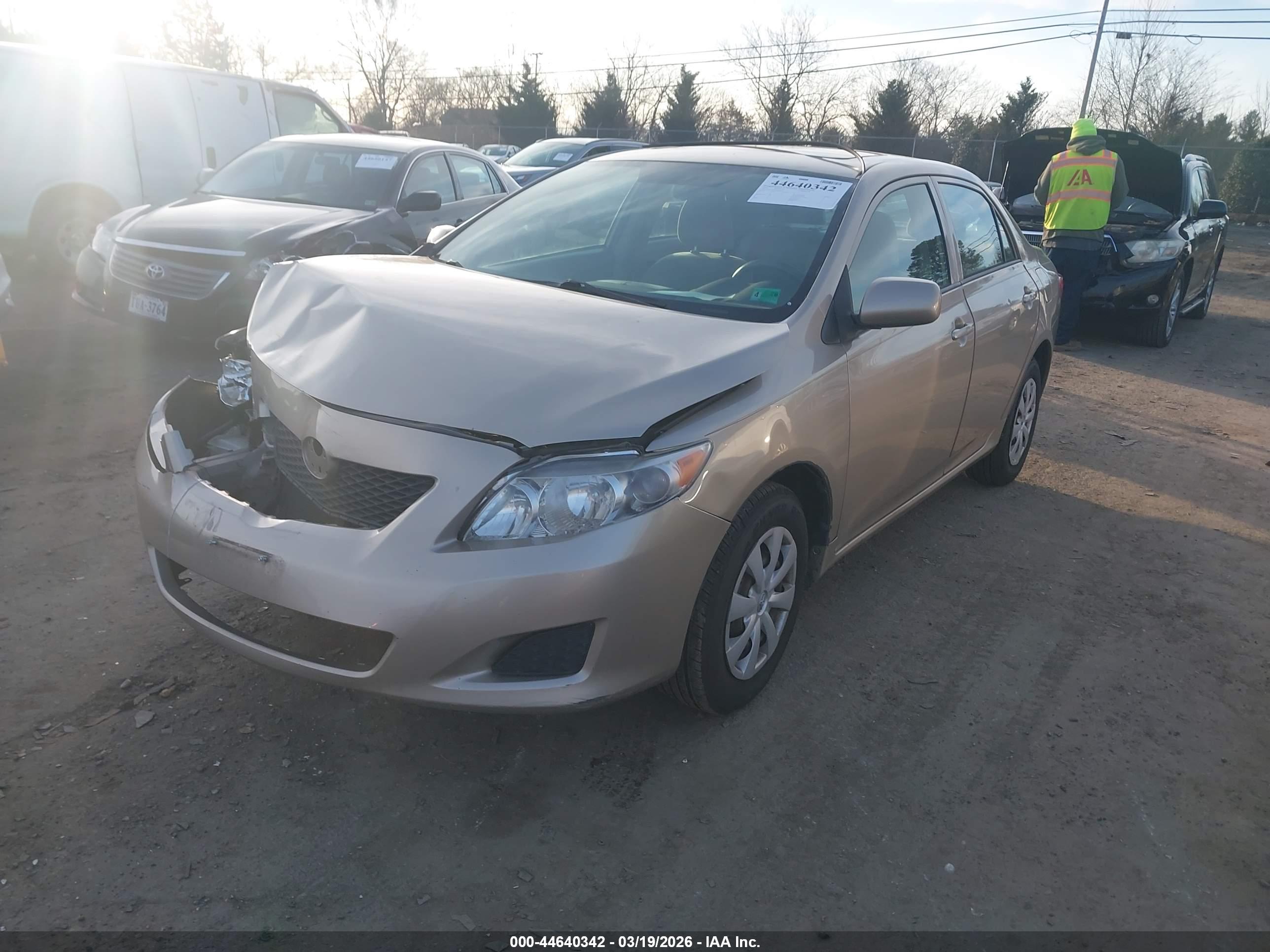 TOYOTA COROLLA image 2