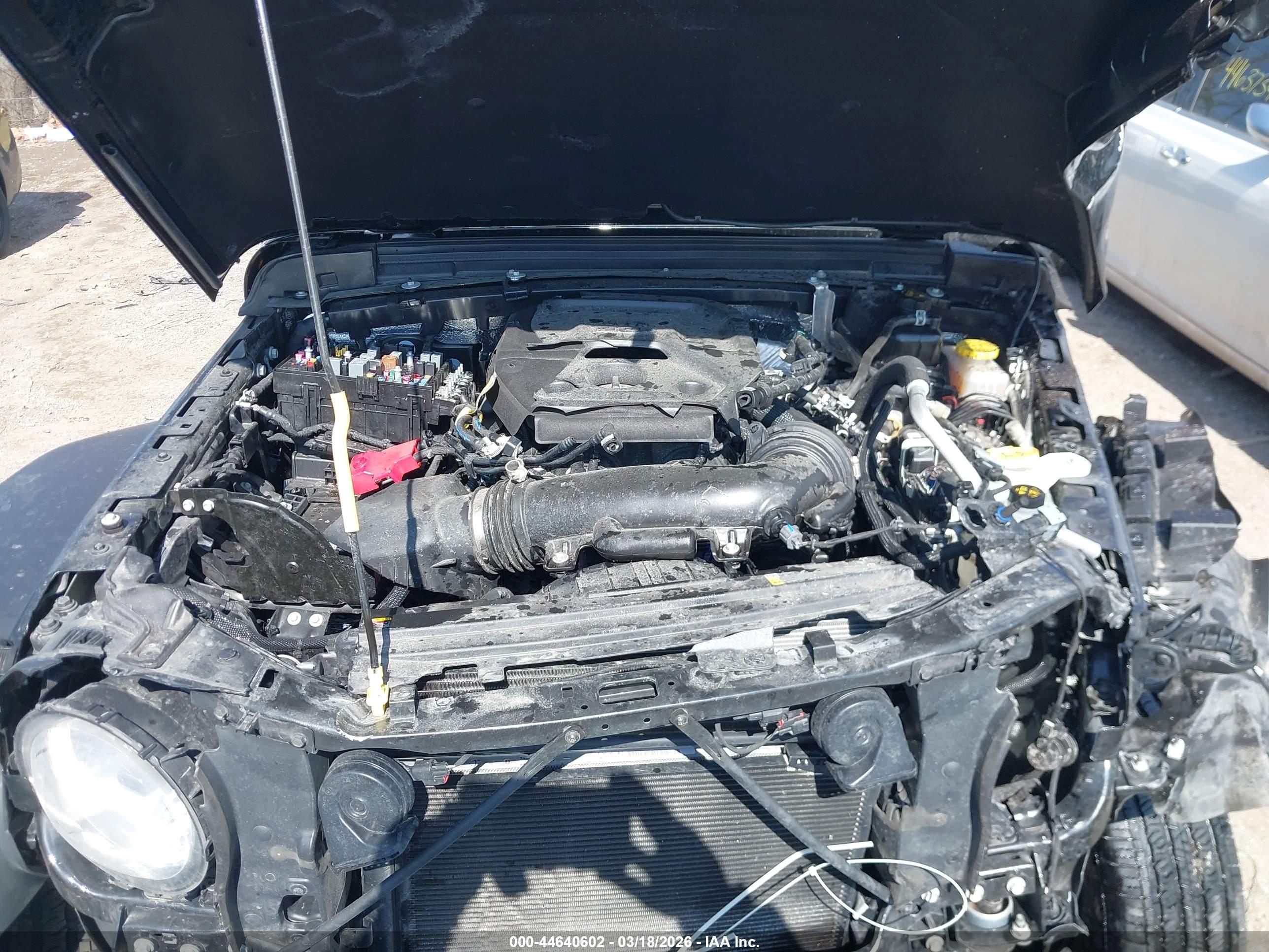 JEEP WRANGLER image 10