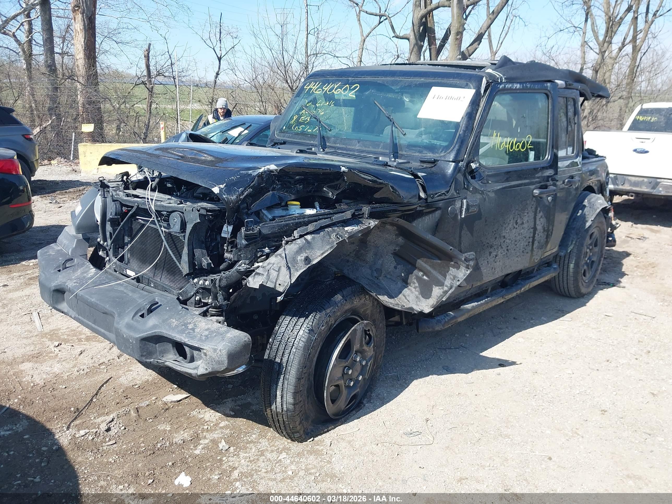 JEEP WRANGLER image 2