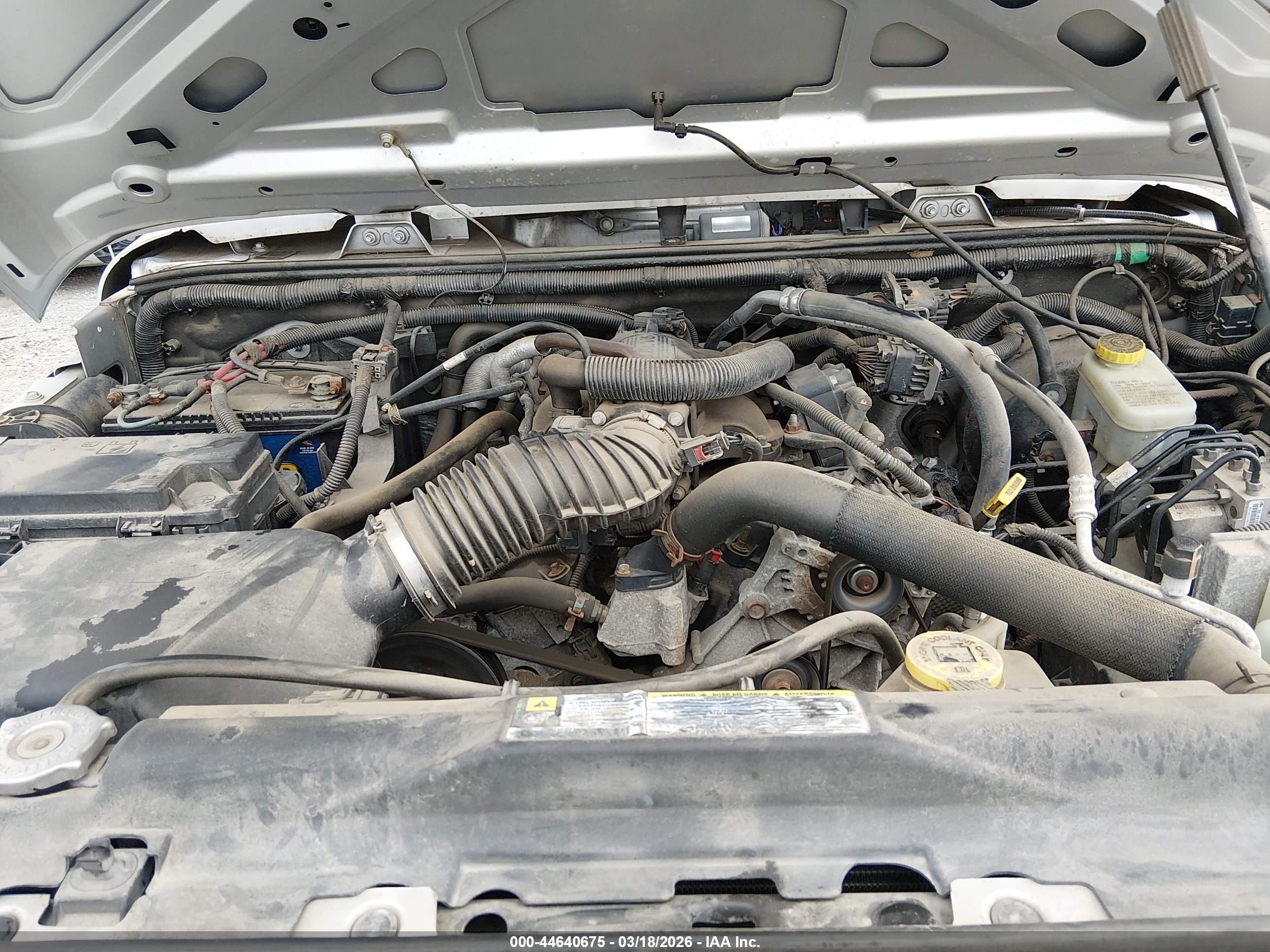 JEEP WRANGLER image 10