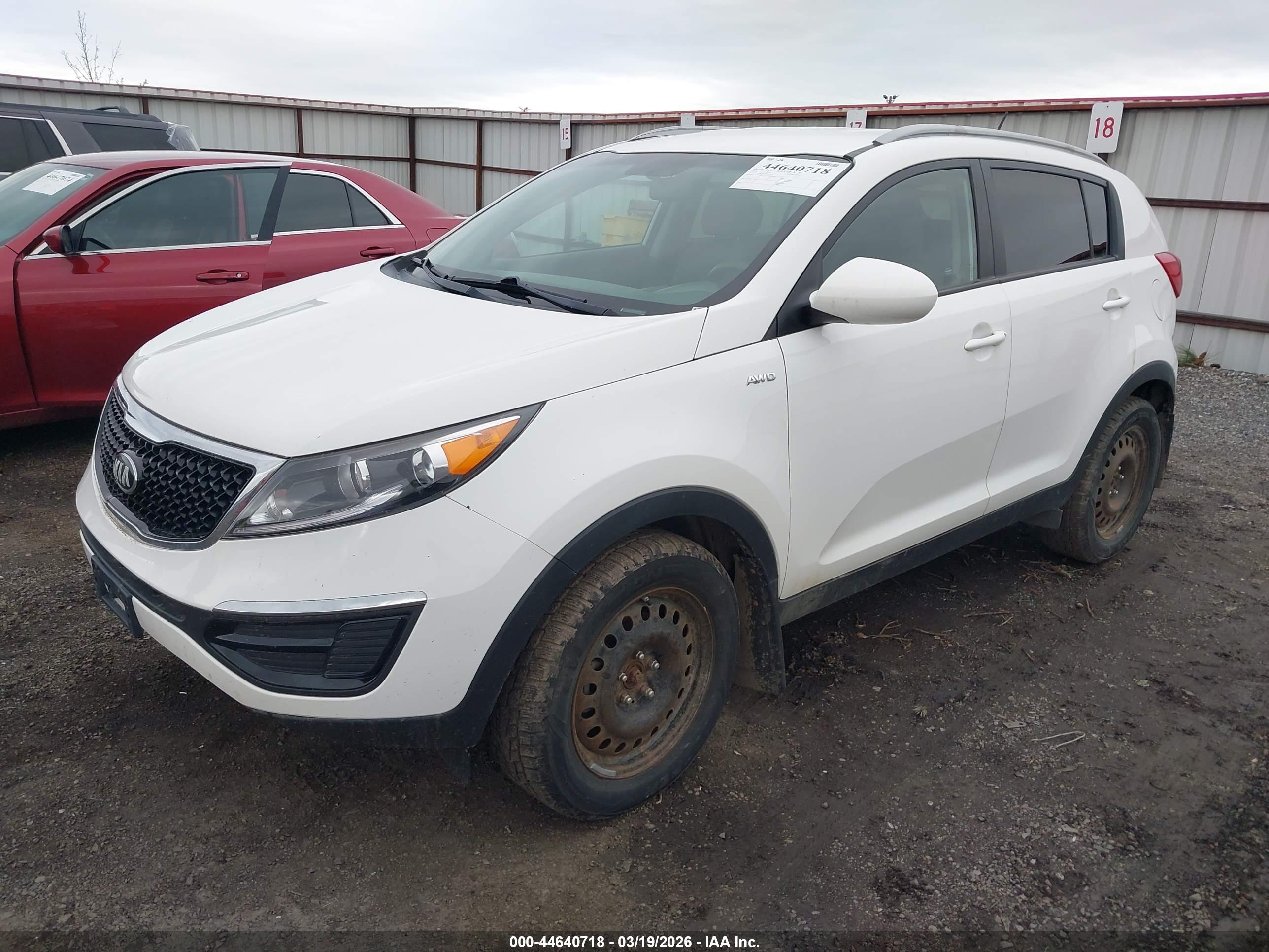 KIA SPORTAGE image 2