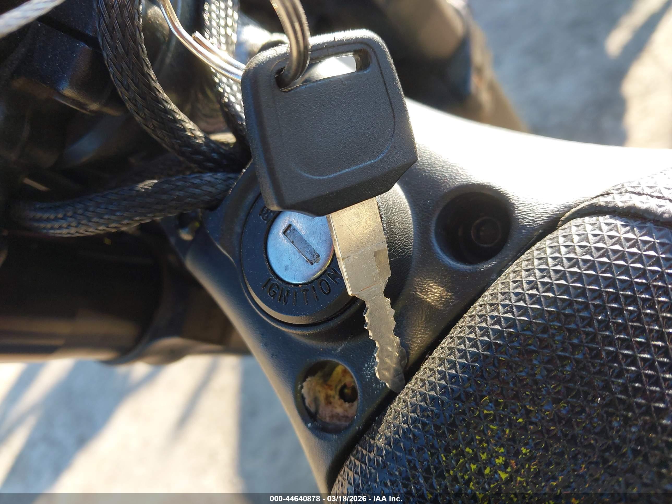 THRONE CYCLES image 11