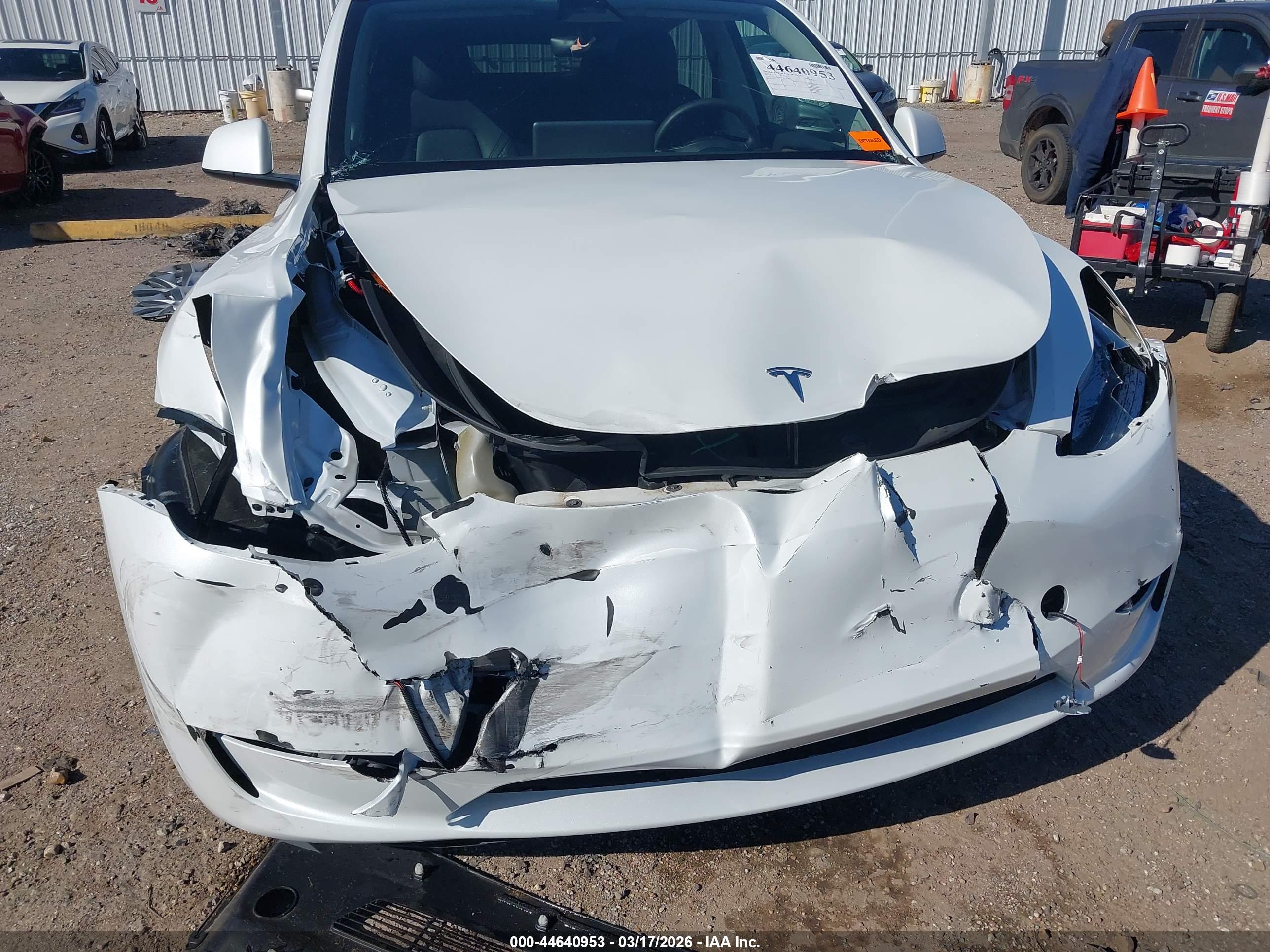 TESLA MODEL image 6