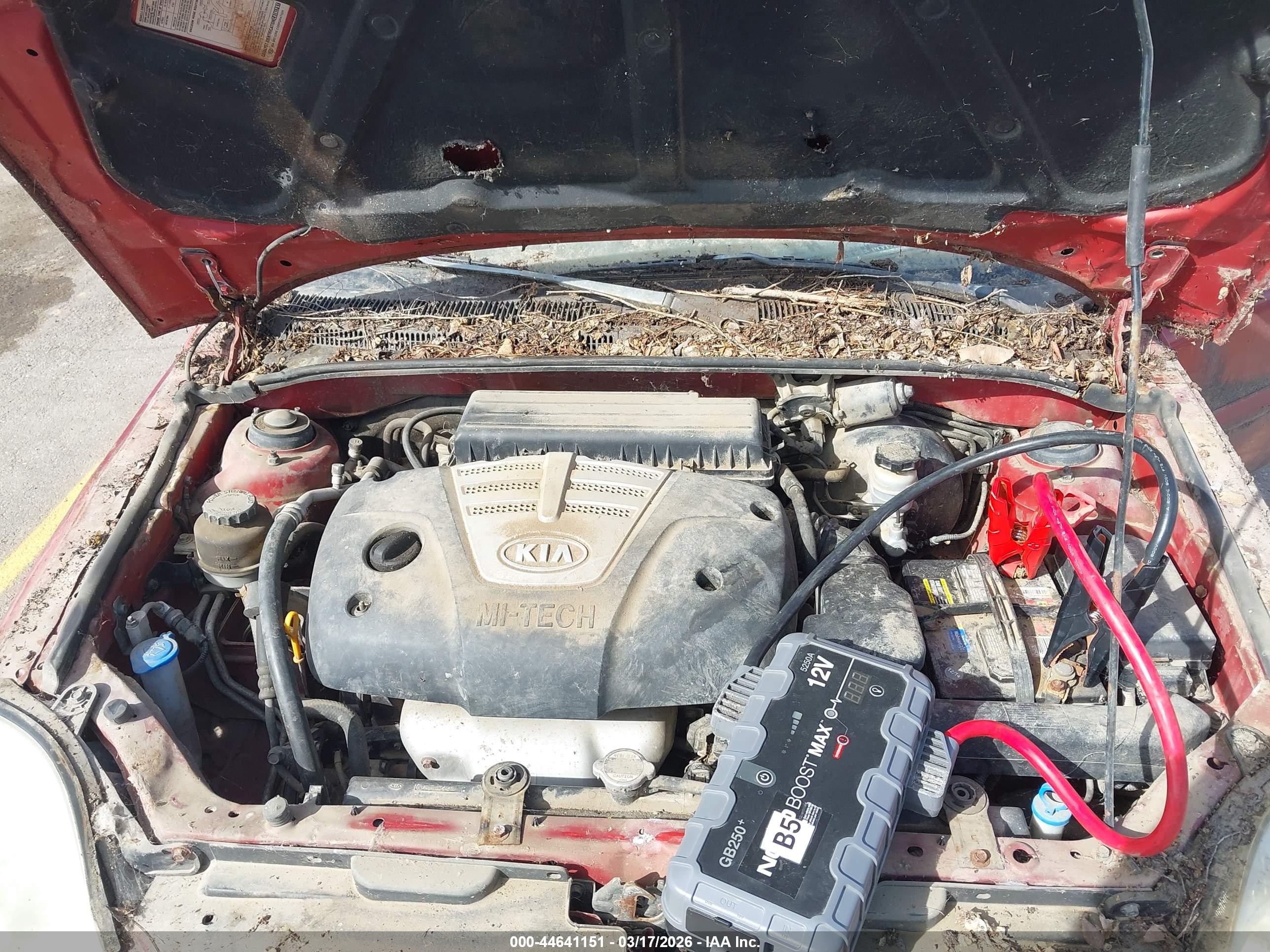 KIA RIO image 10
