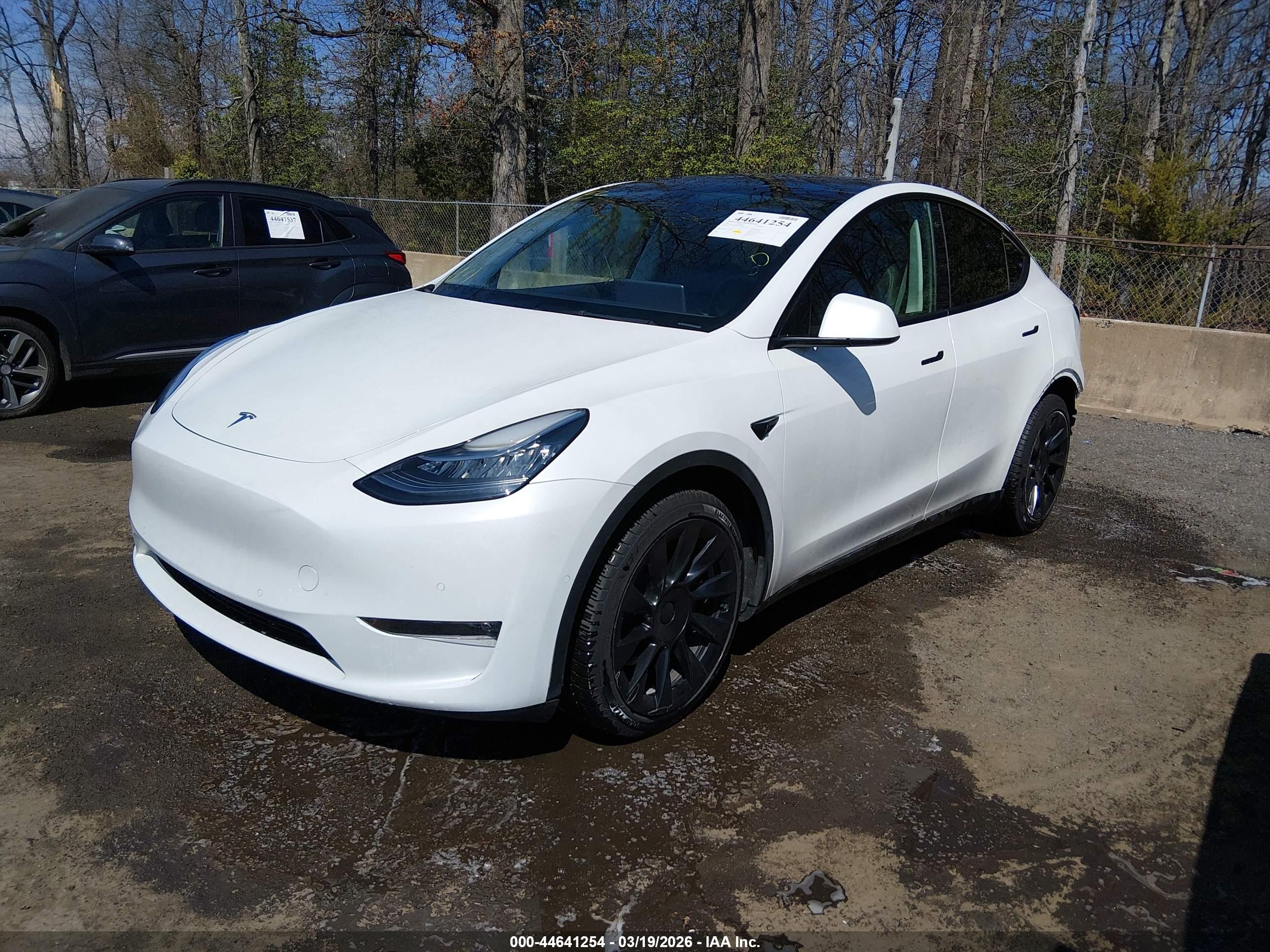 TESLA MODEL image 2