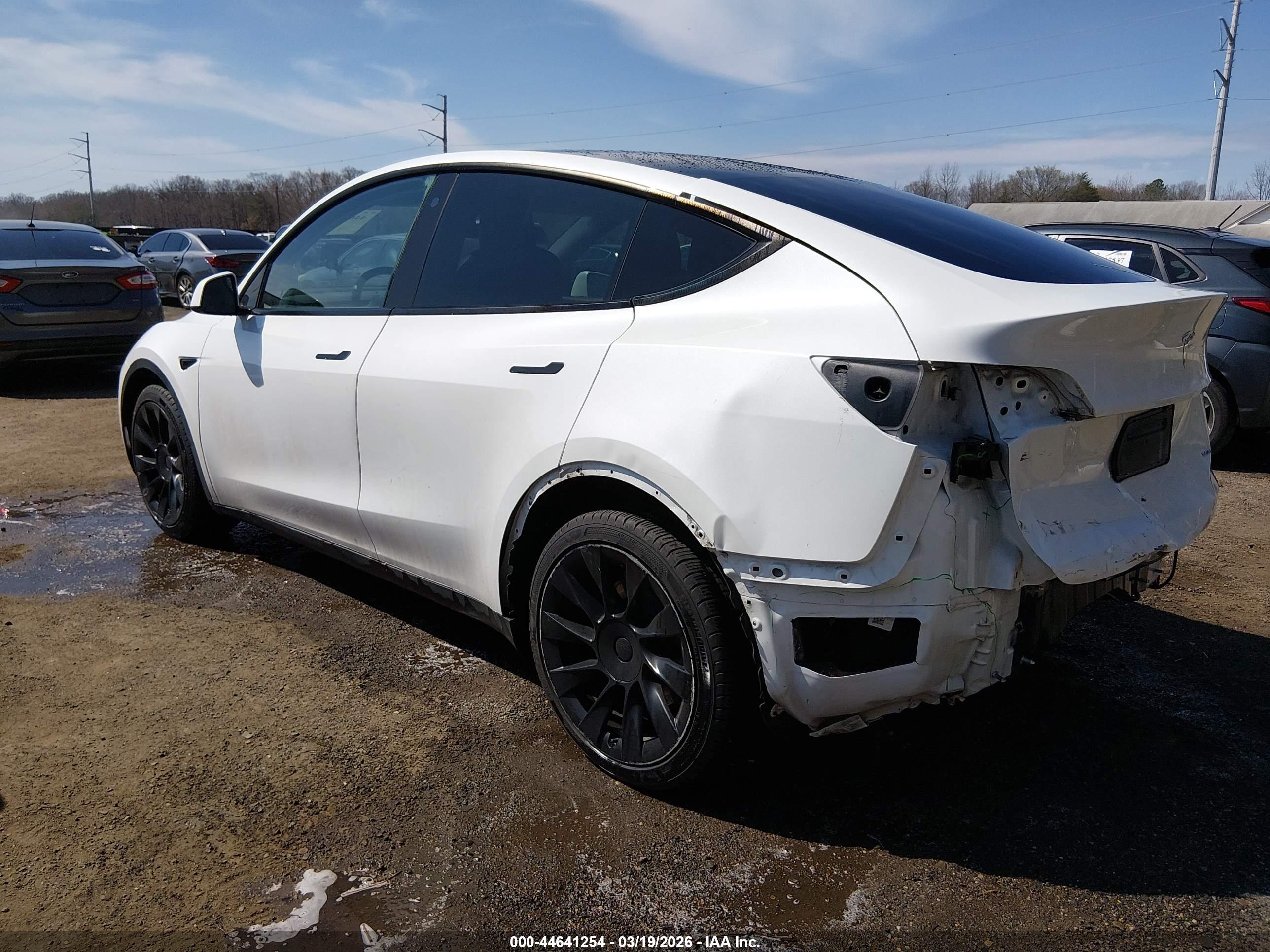 TESLA MODEL image 3