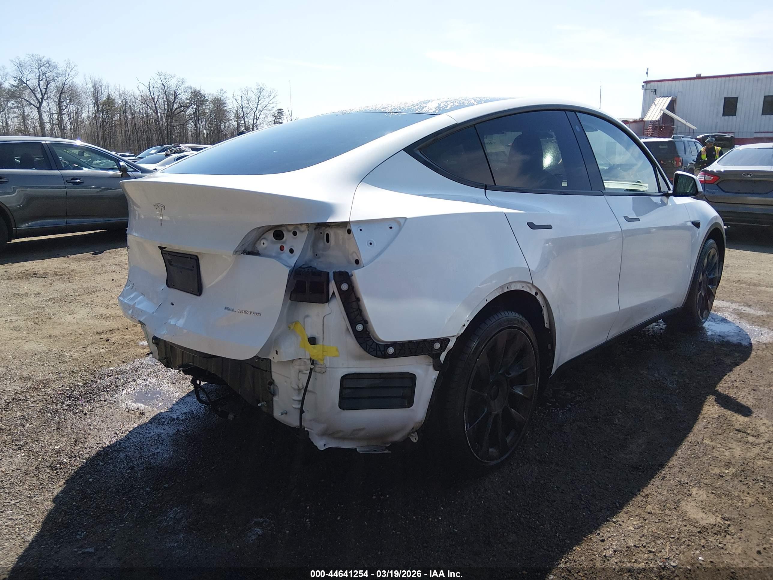 TESLA MODEL image 4