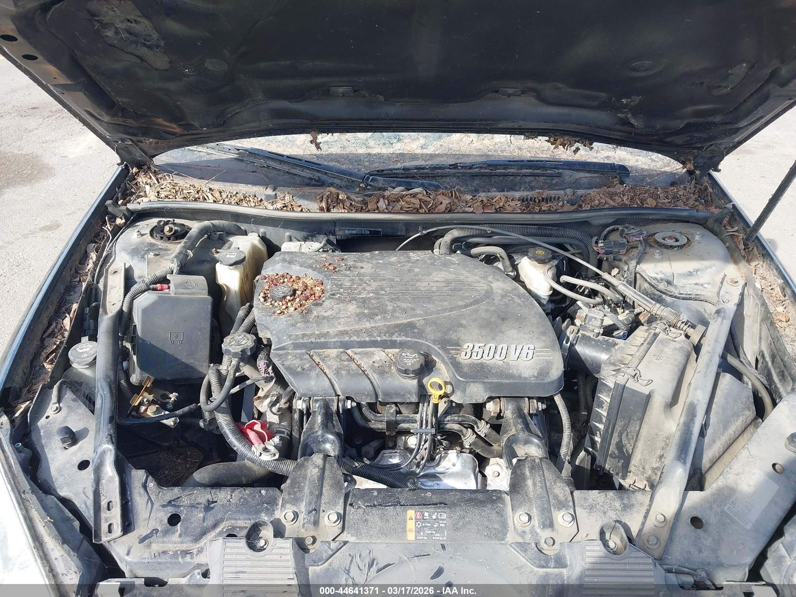 CHEVROLET IMPALA image 10