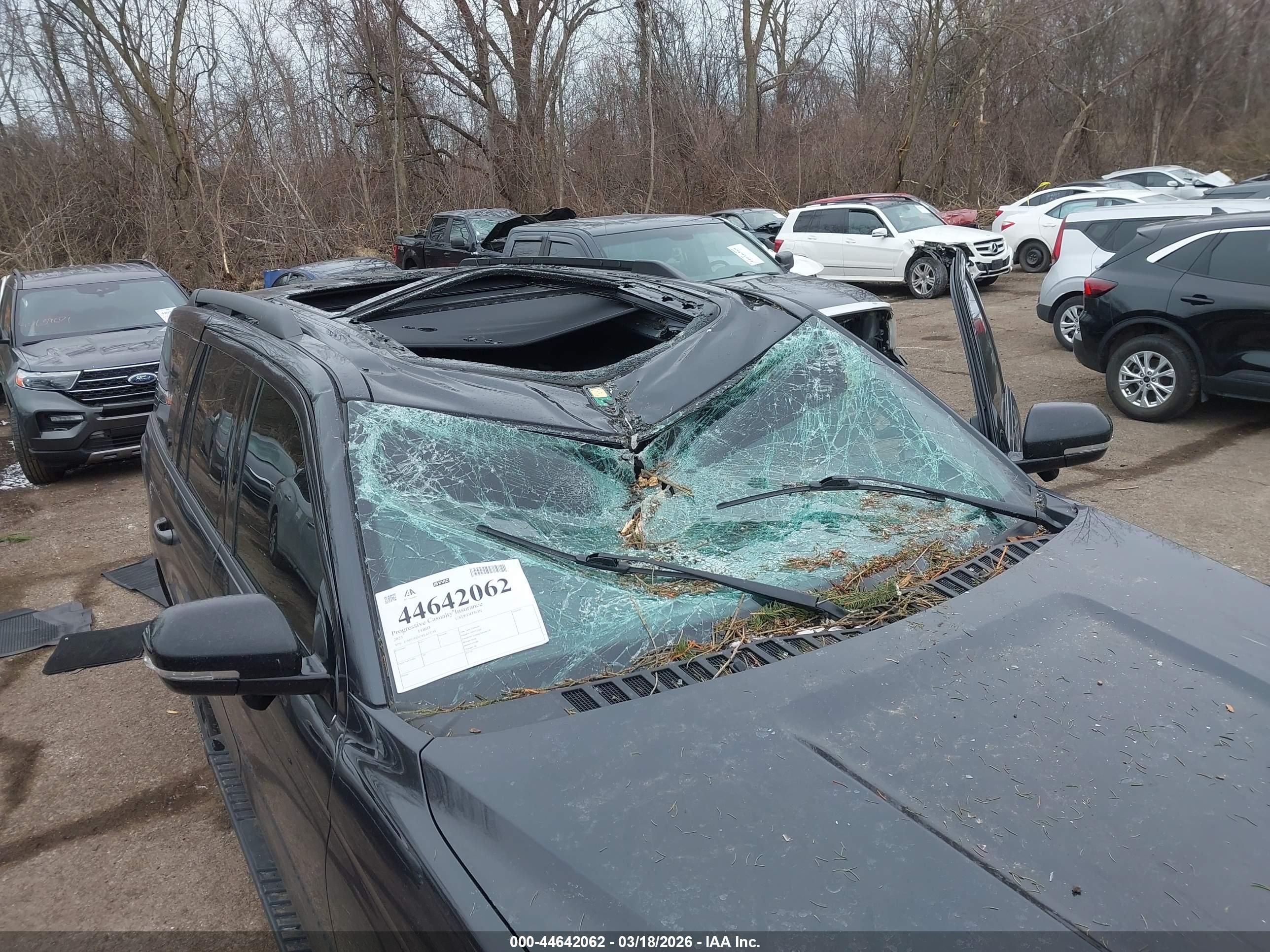 FORD EXPEDITION image 6