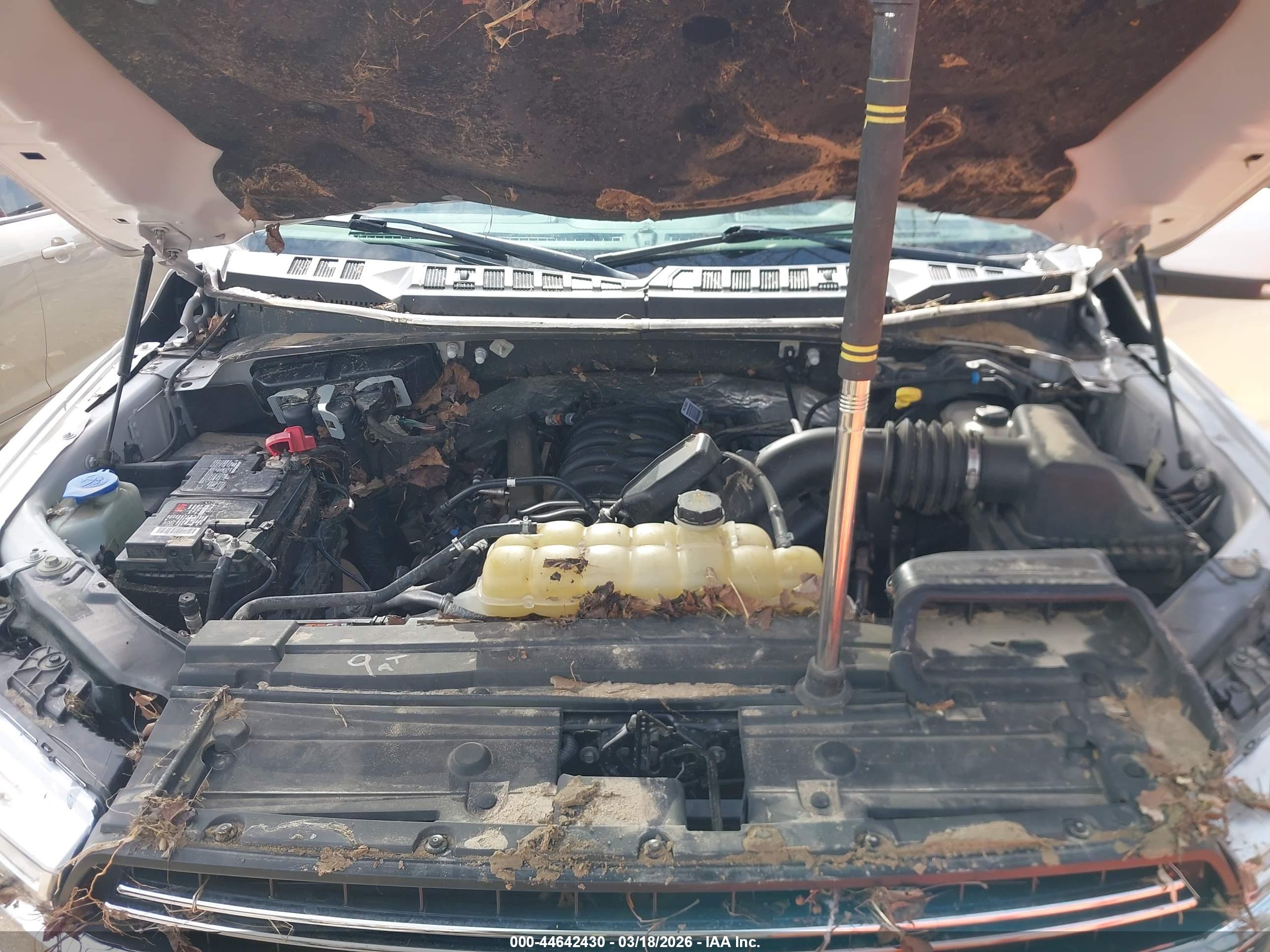 FORD F-150 image 10