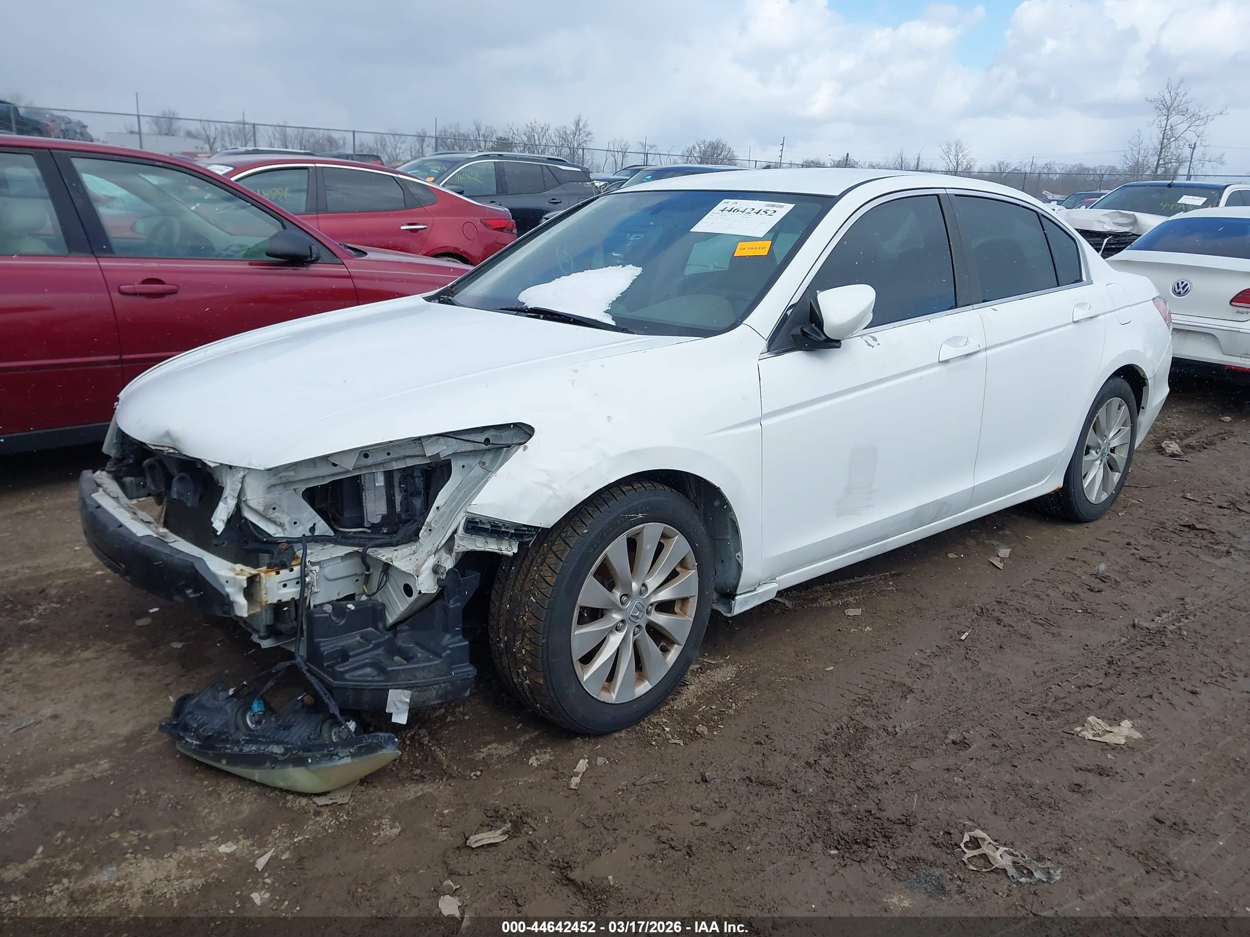 HONDA ACCORD image 2