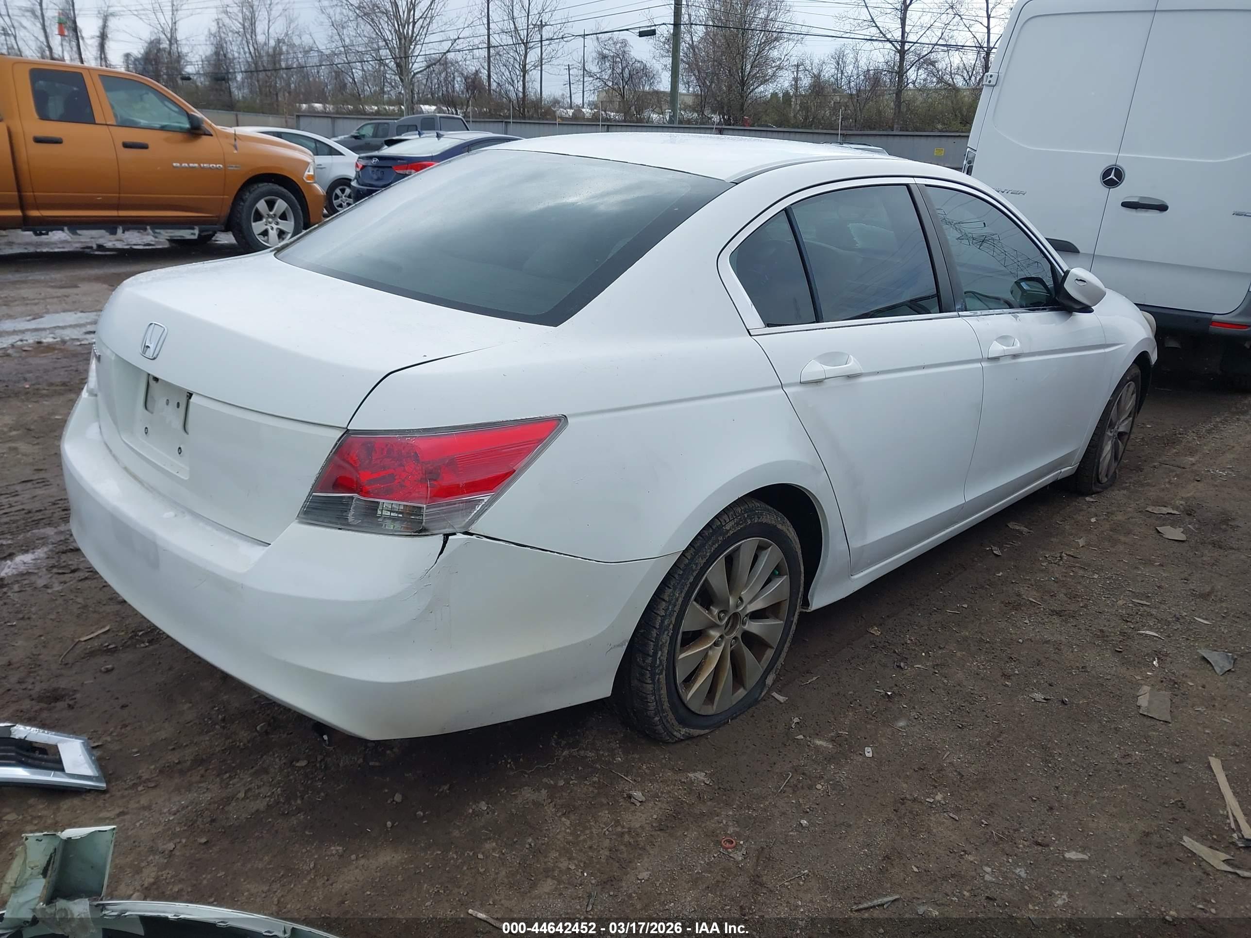HONDA ACCORD image 4