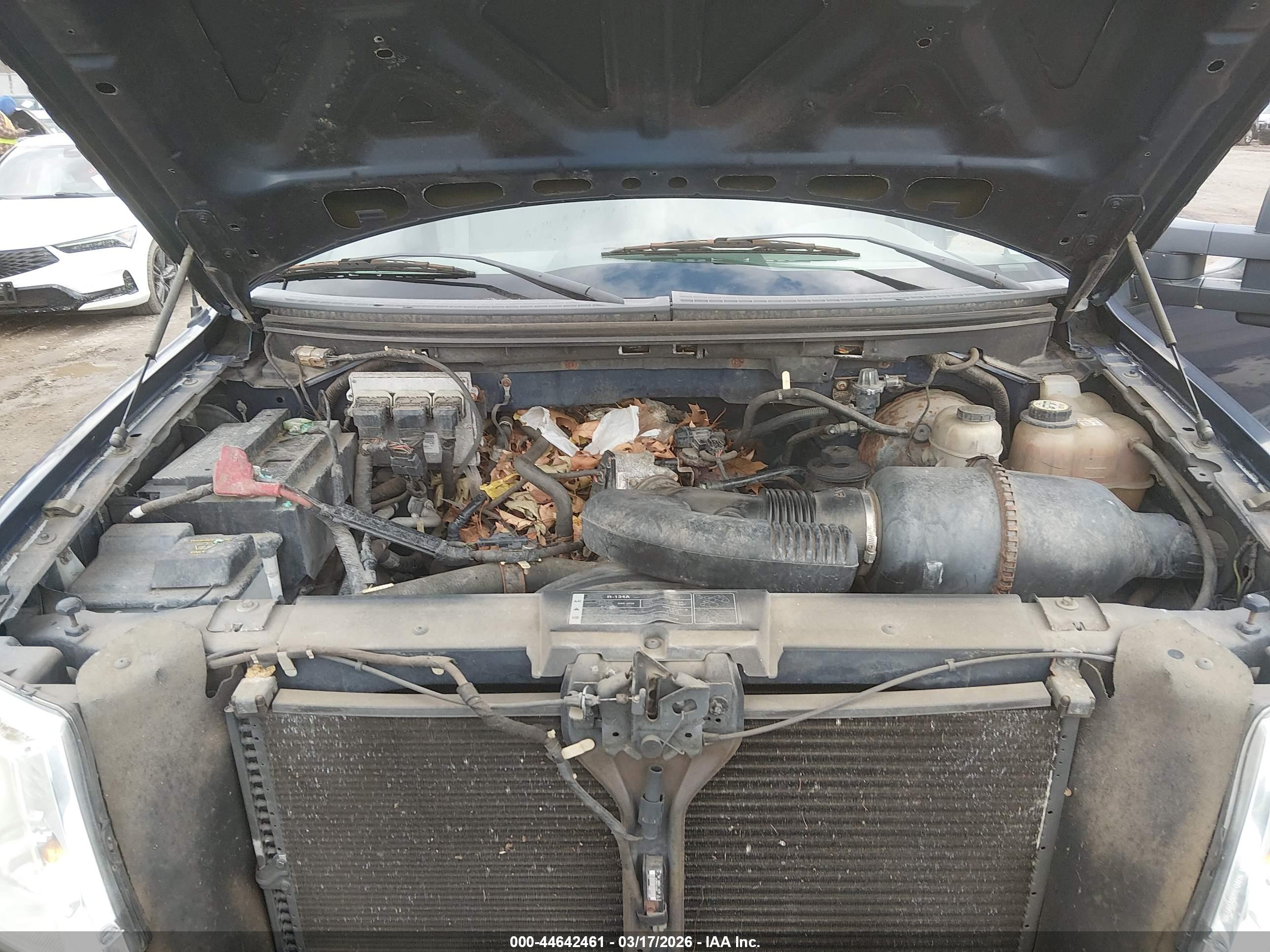 FORD F-150 image 10