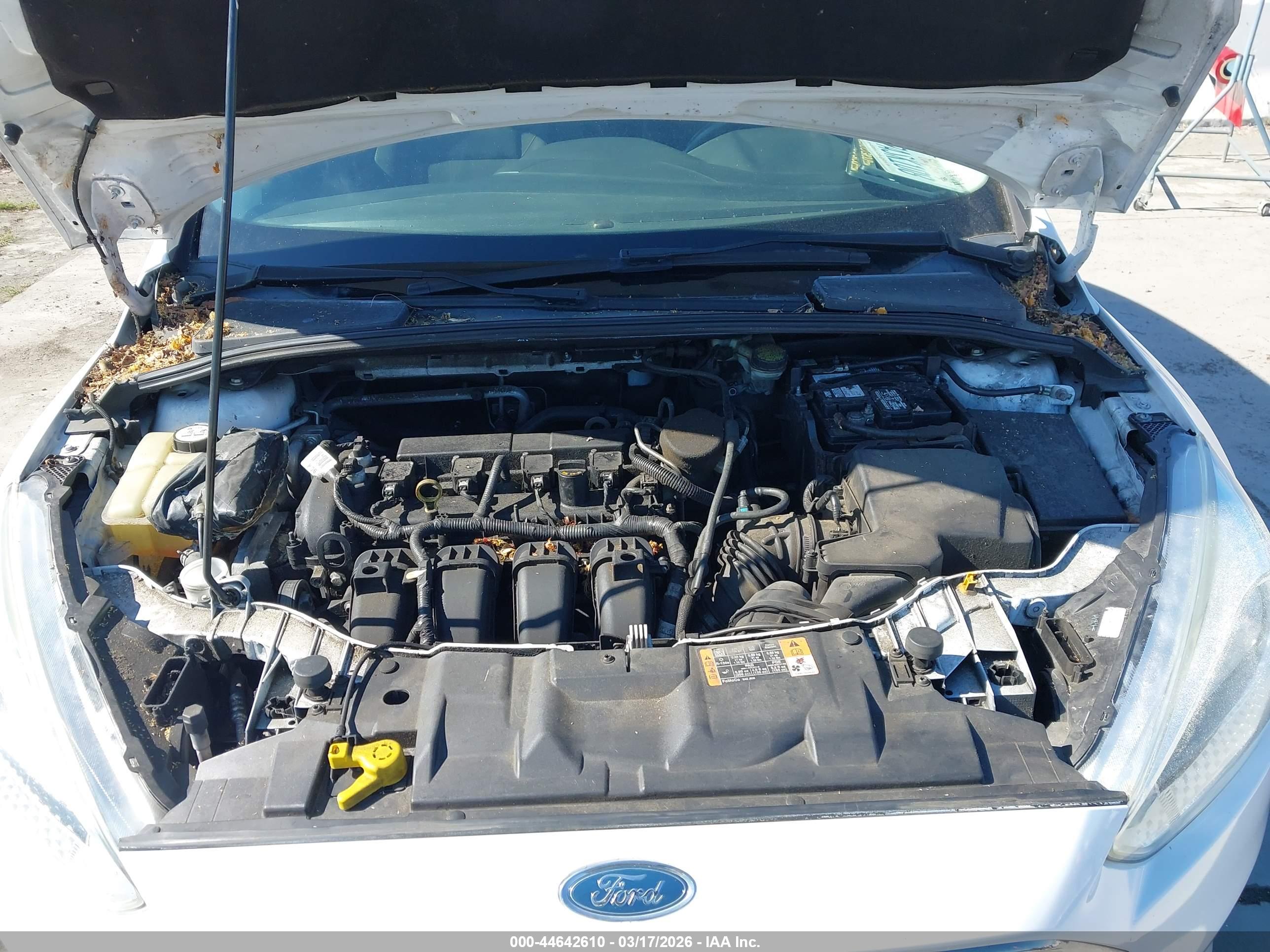 FORD FOCUS image 10