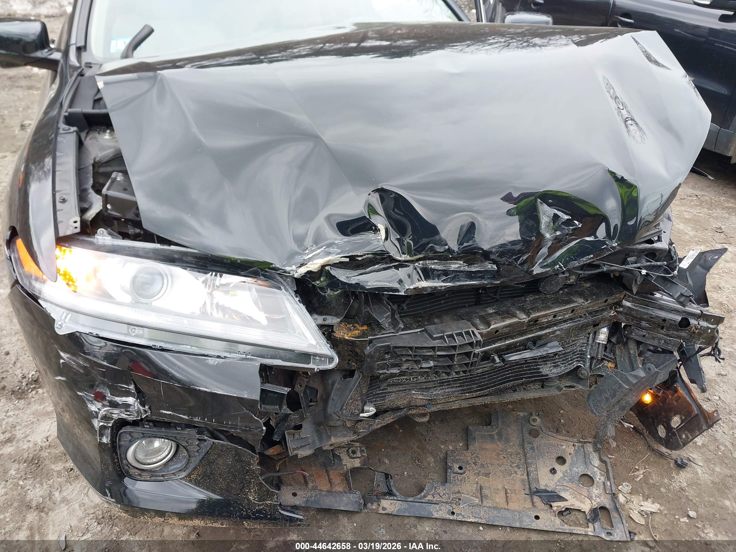 HONDA ACCORD image 6