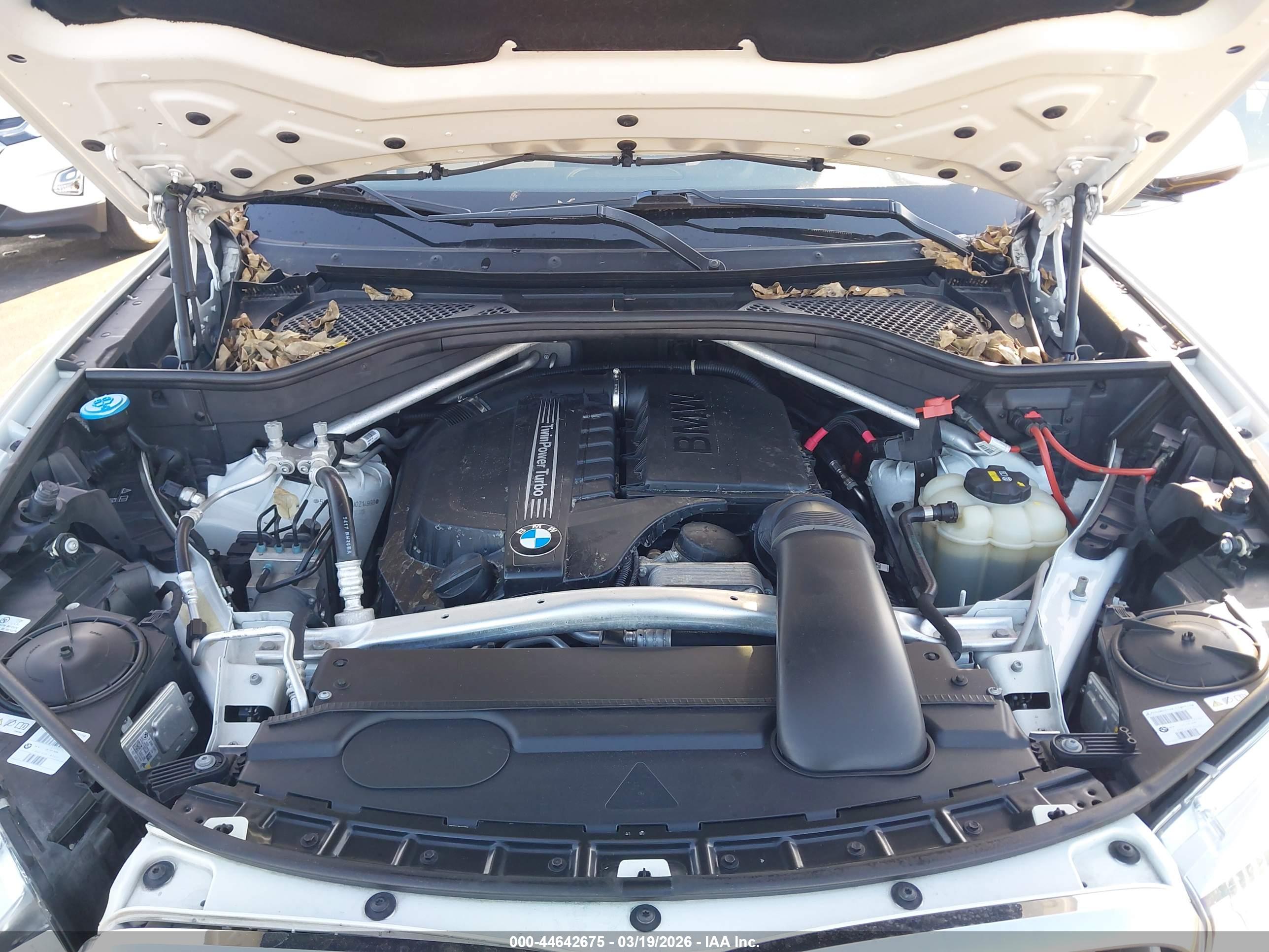 BMW X5 image 10
