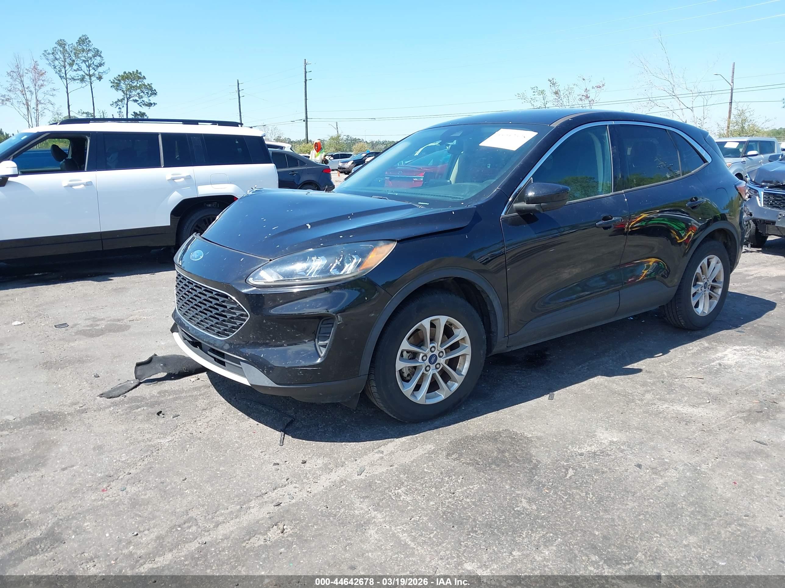 FORD ESCAPE image 2